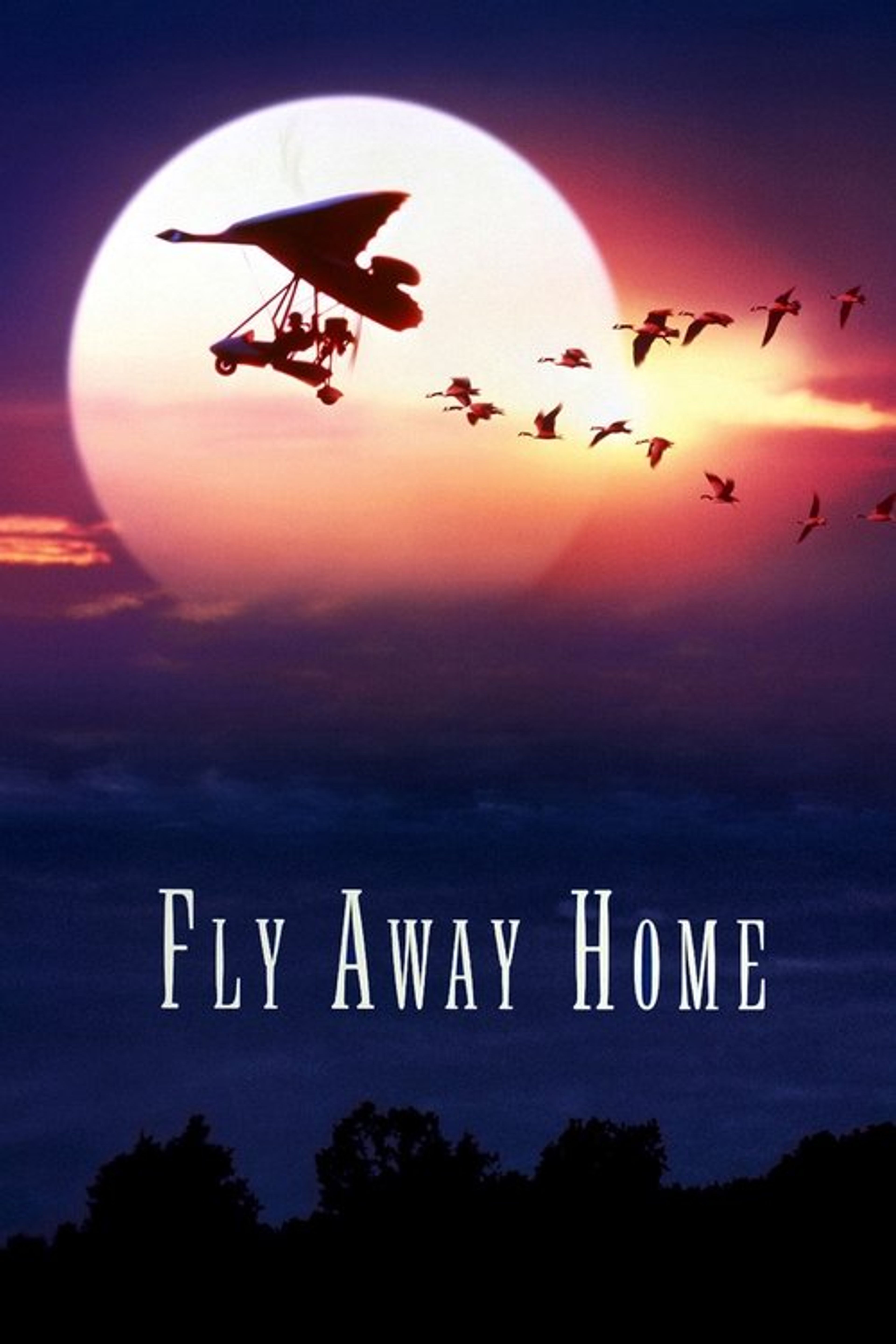 Poster image of Fly Away Home