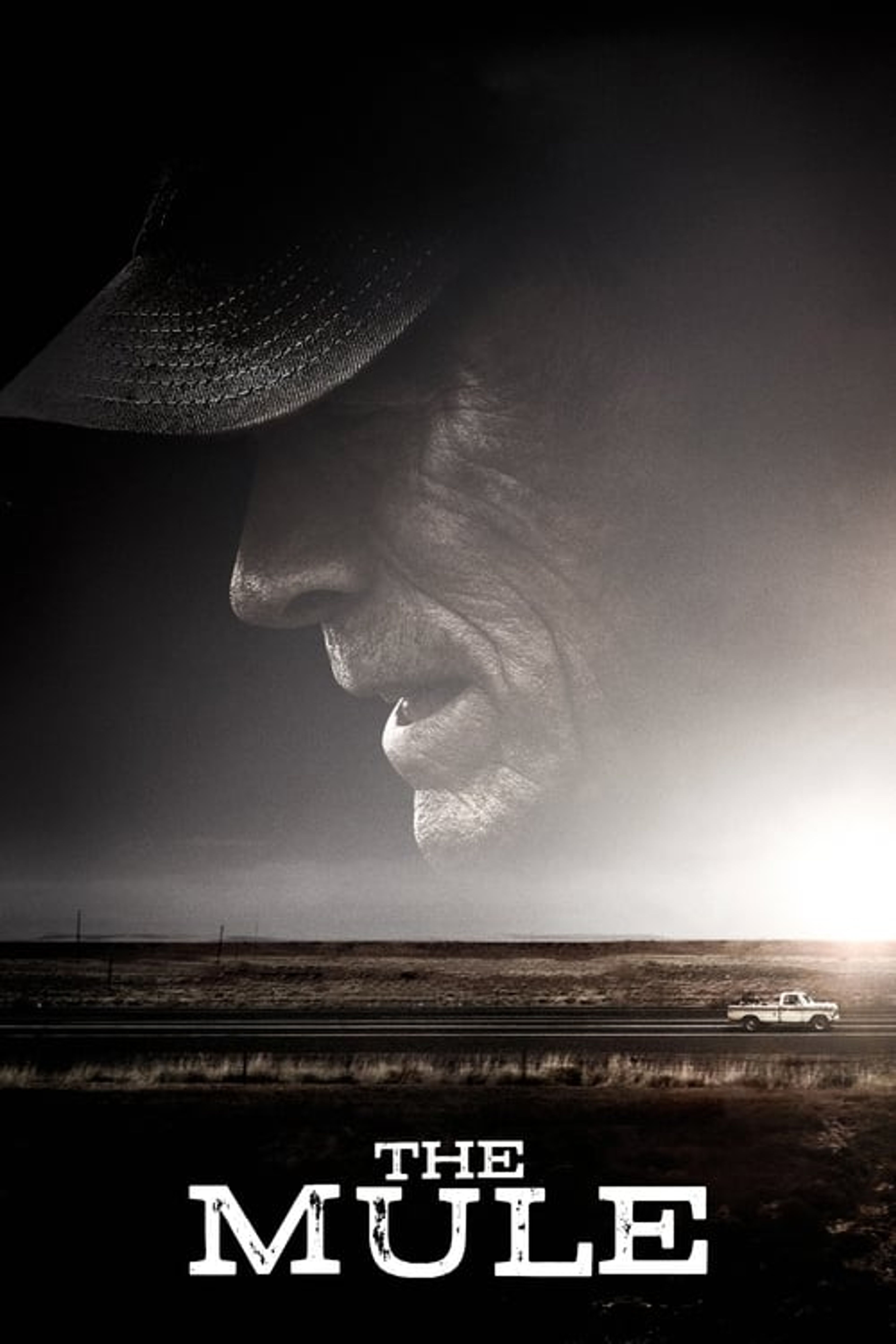 Poster image of The Mule