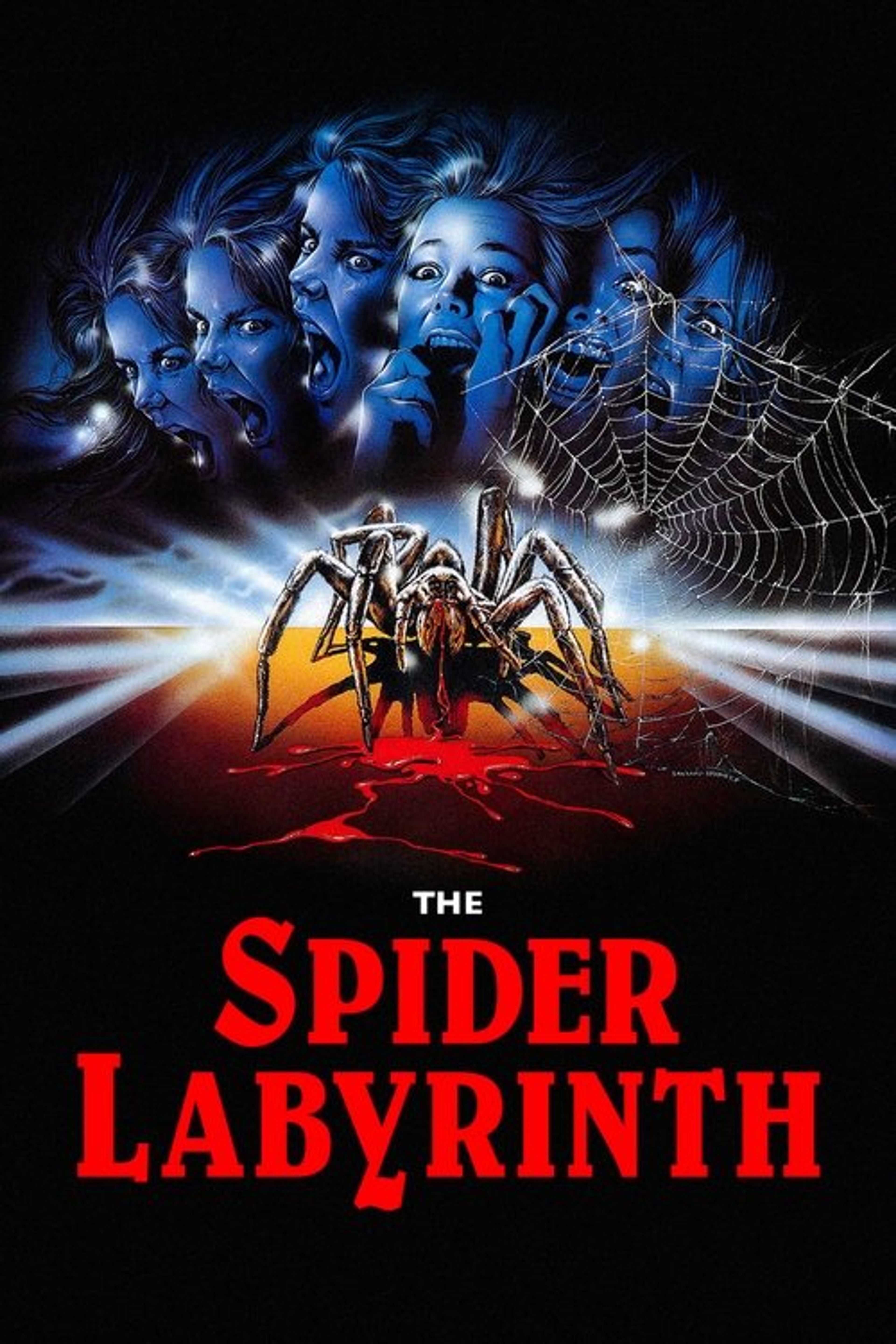 Poster image of The Spider Labyrinth