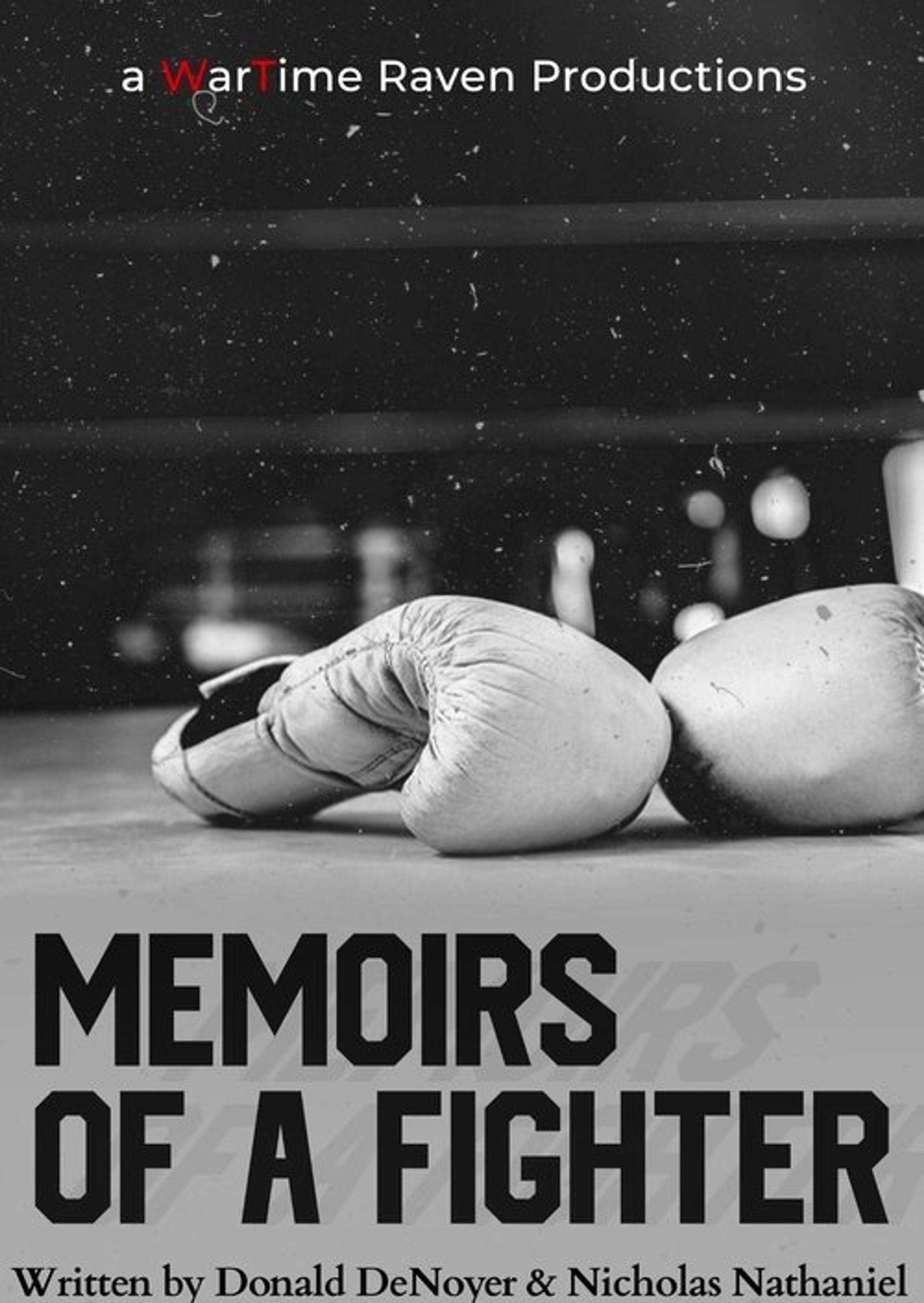 Poster image of Memoirs of a Fighter