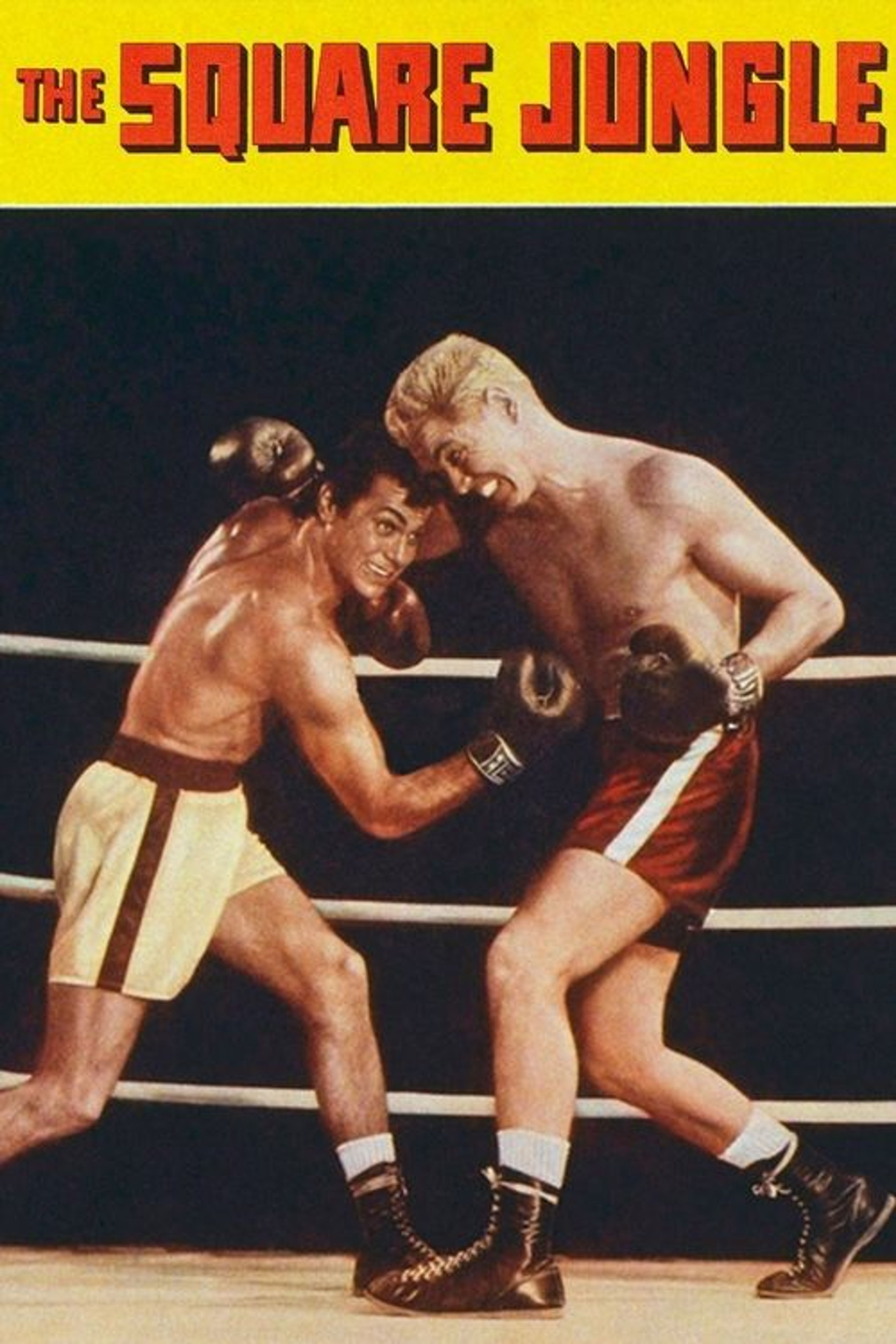 Poster image of The Square Jungle