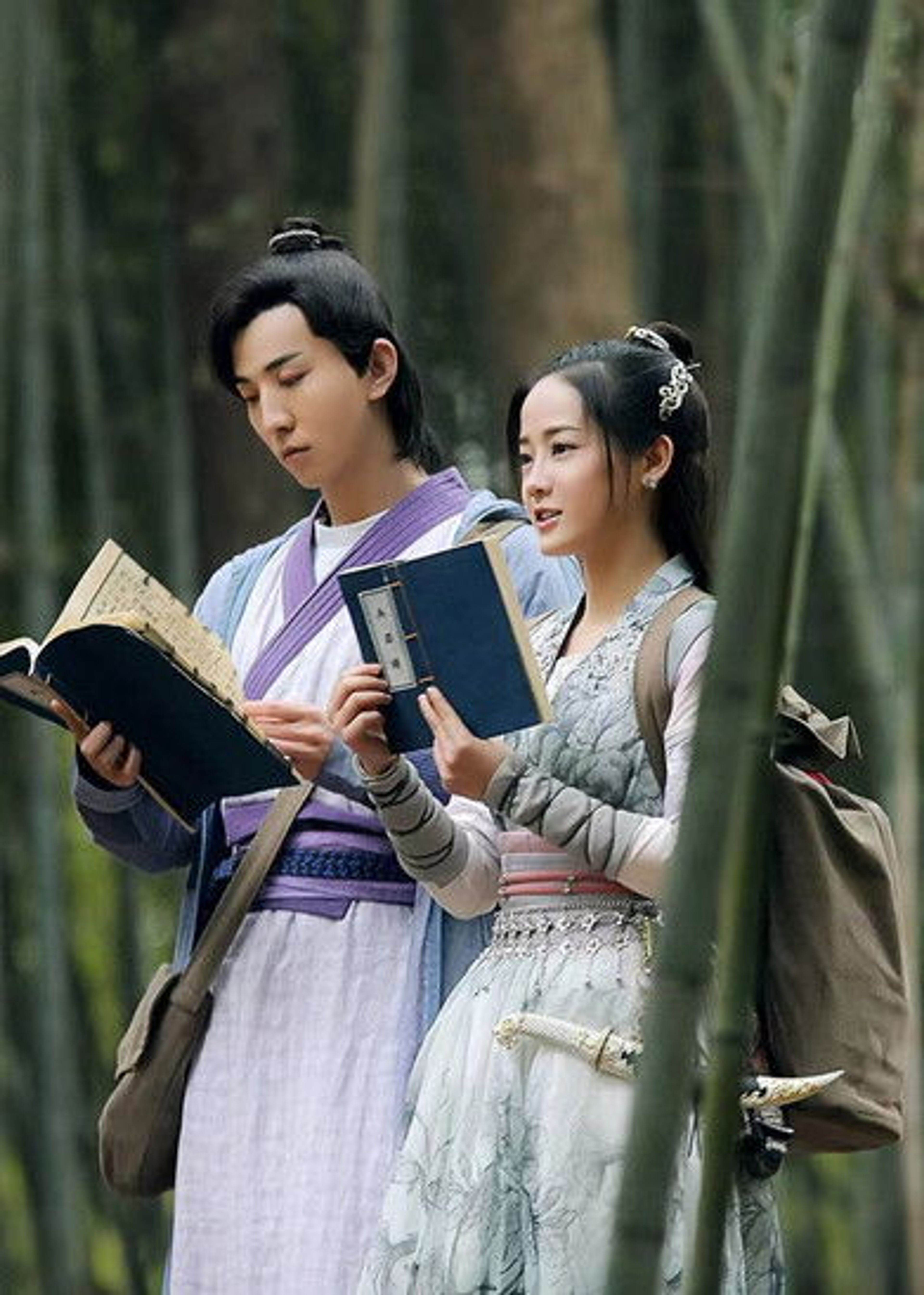 Poster image of 过遍千城才识君