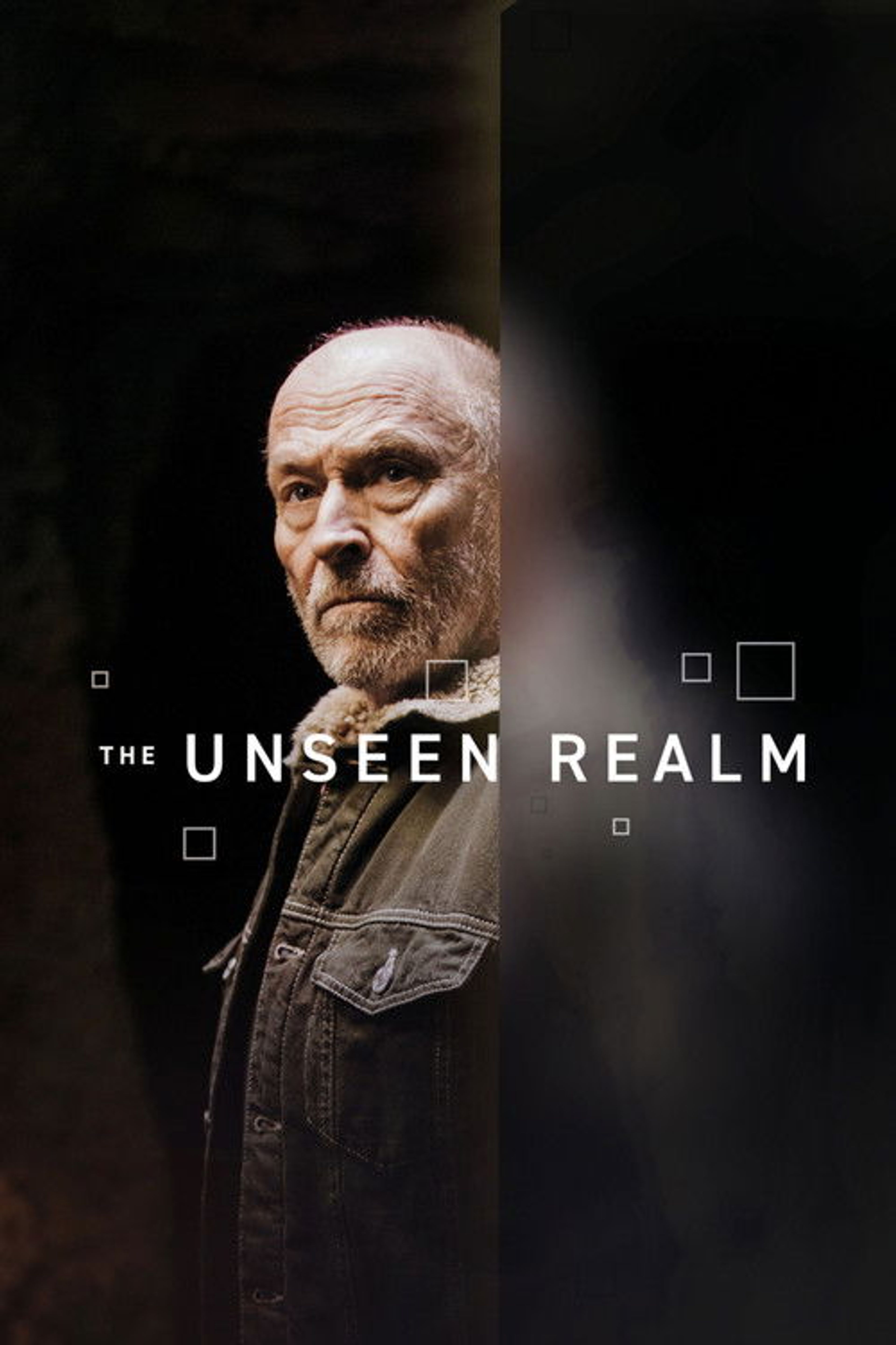 Poster image of The Unseen Realm
