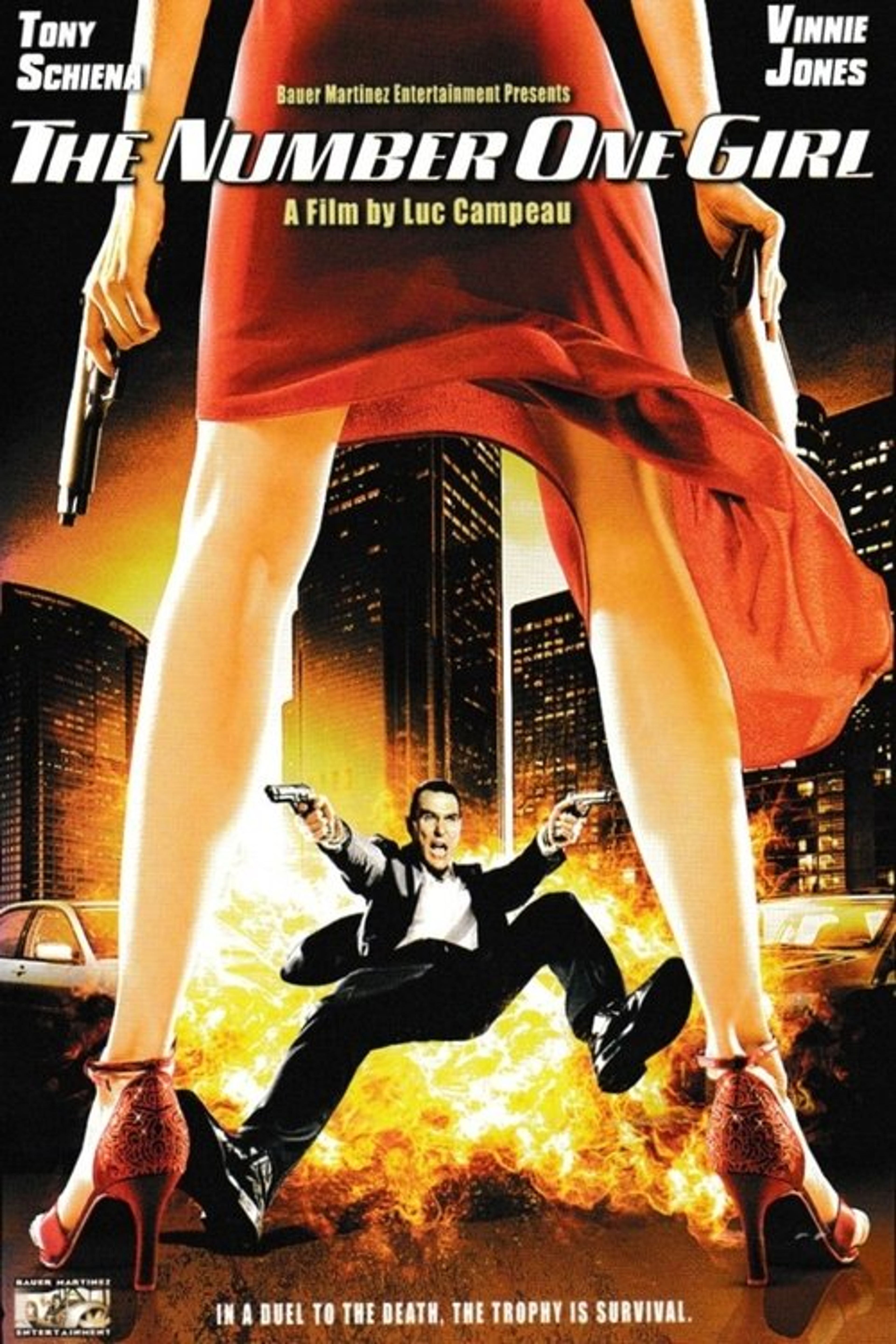 Poster image of The Number One Girl