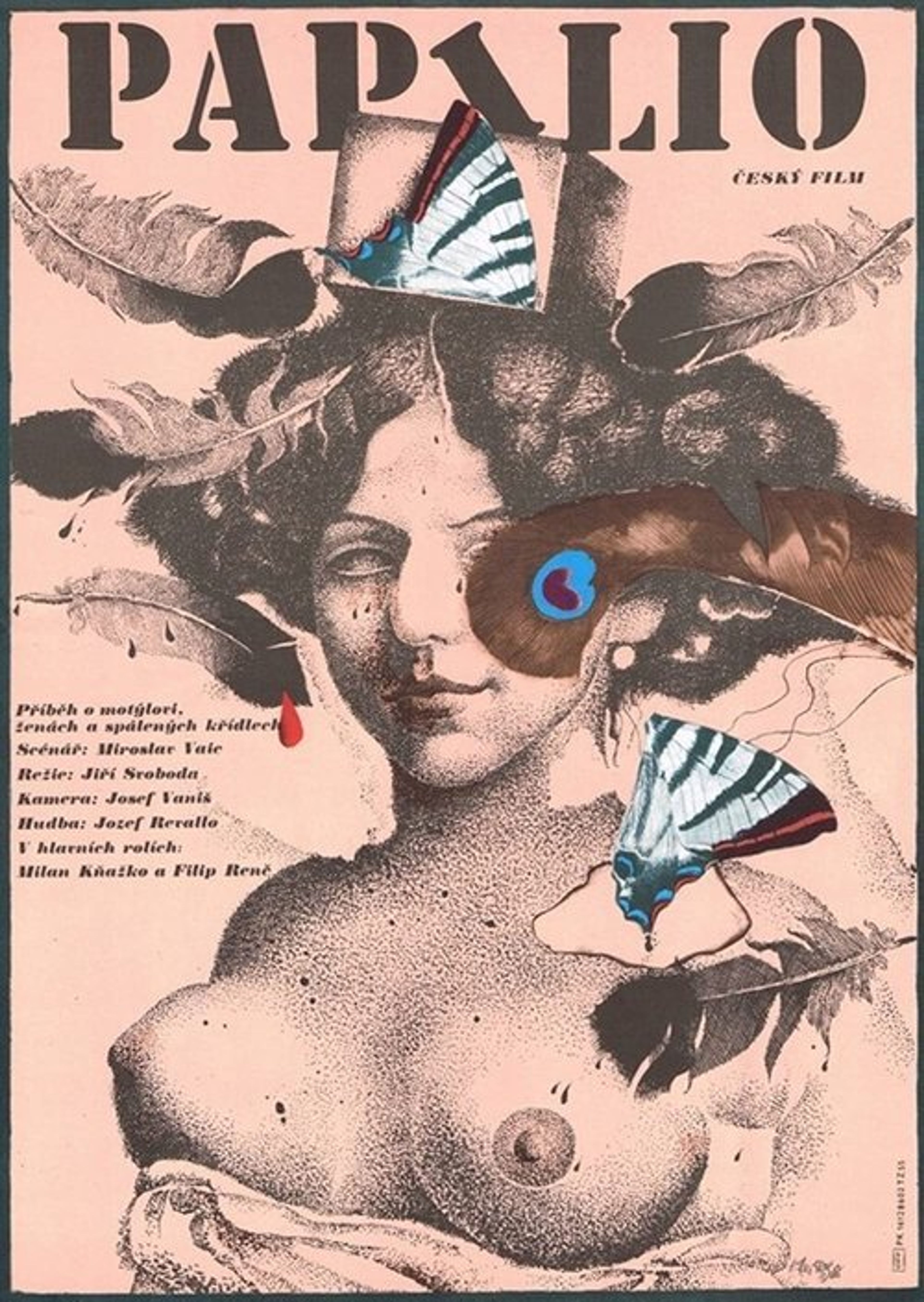 Poster image of Papilio