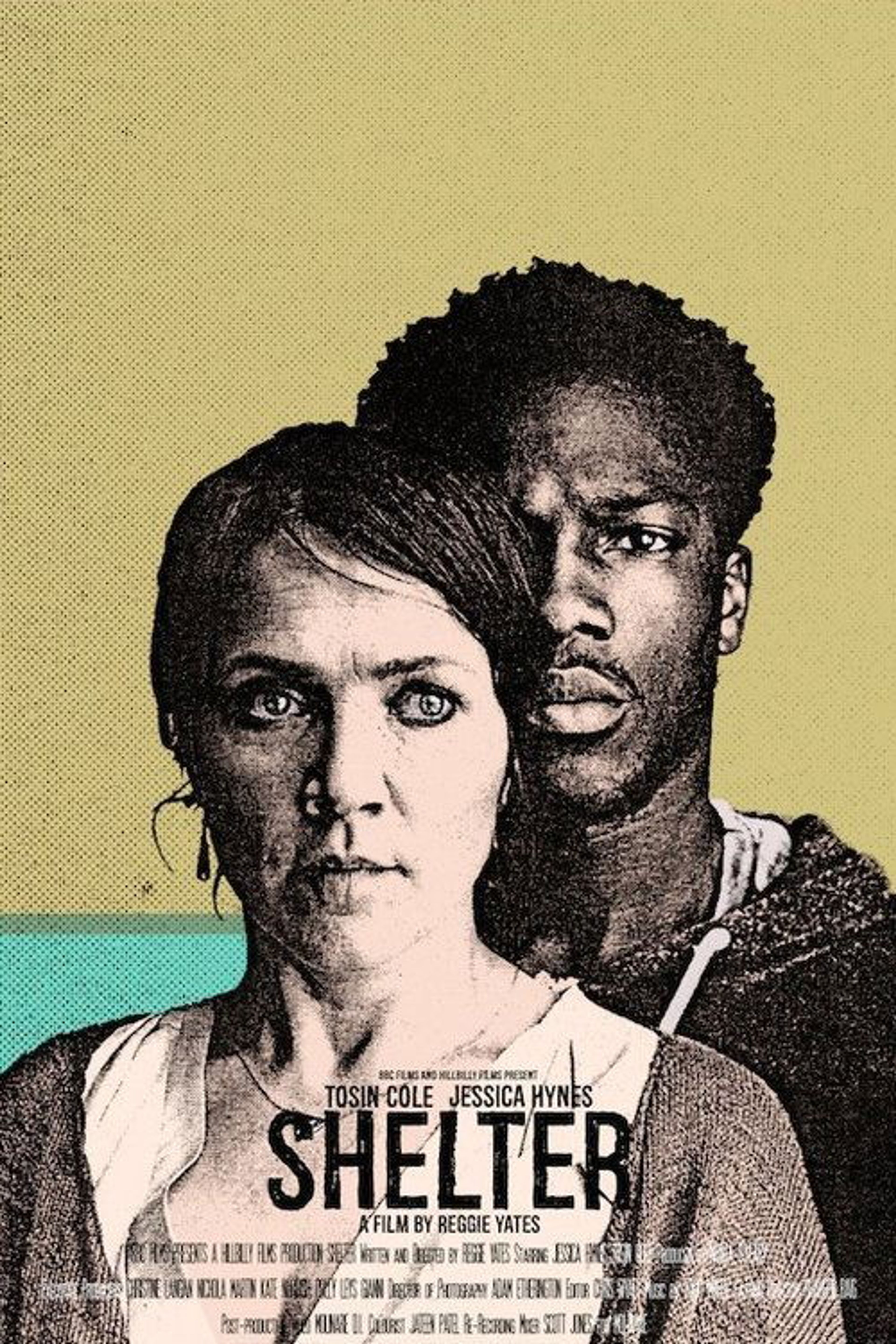 Poster image of Shelter