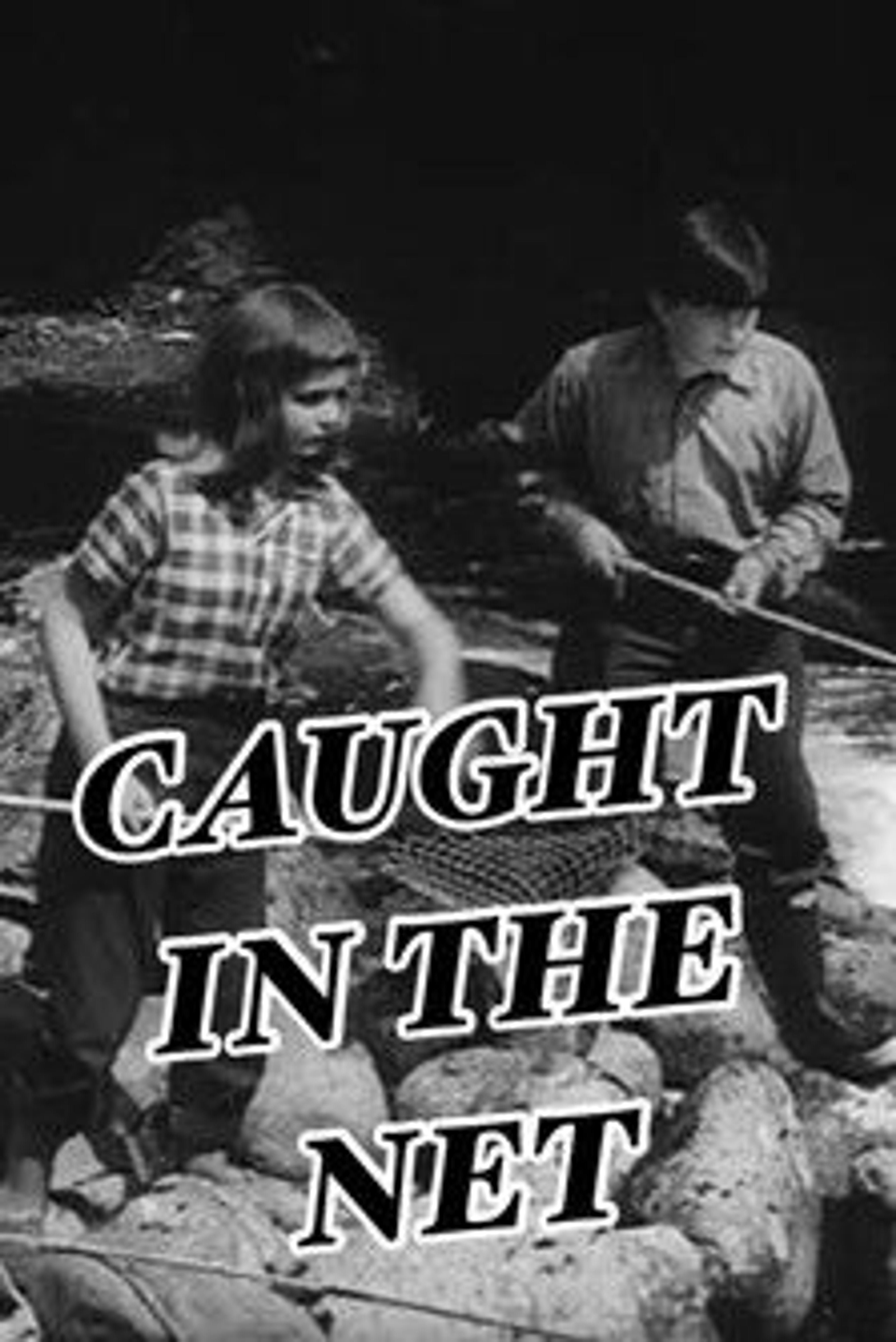 Poster image of Caught in the Net