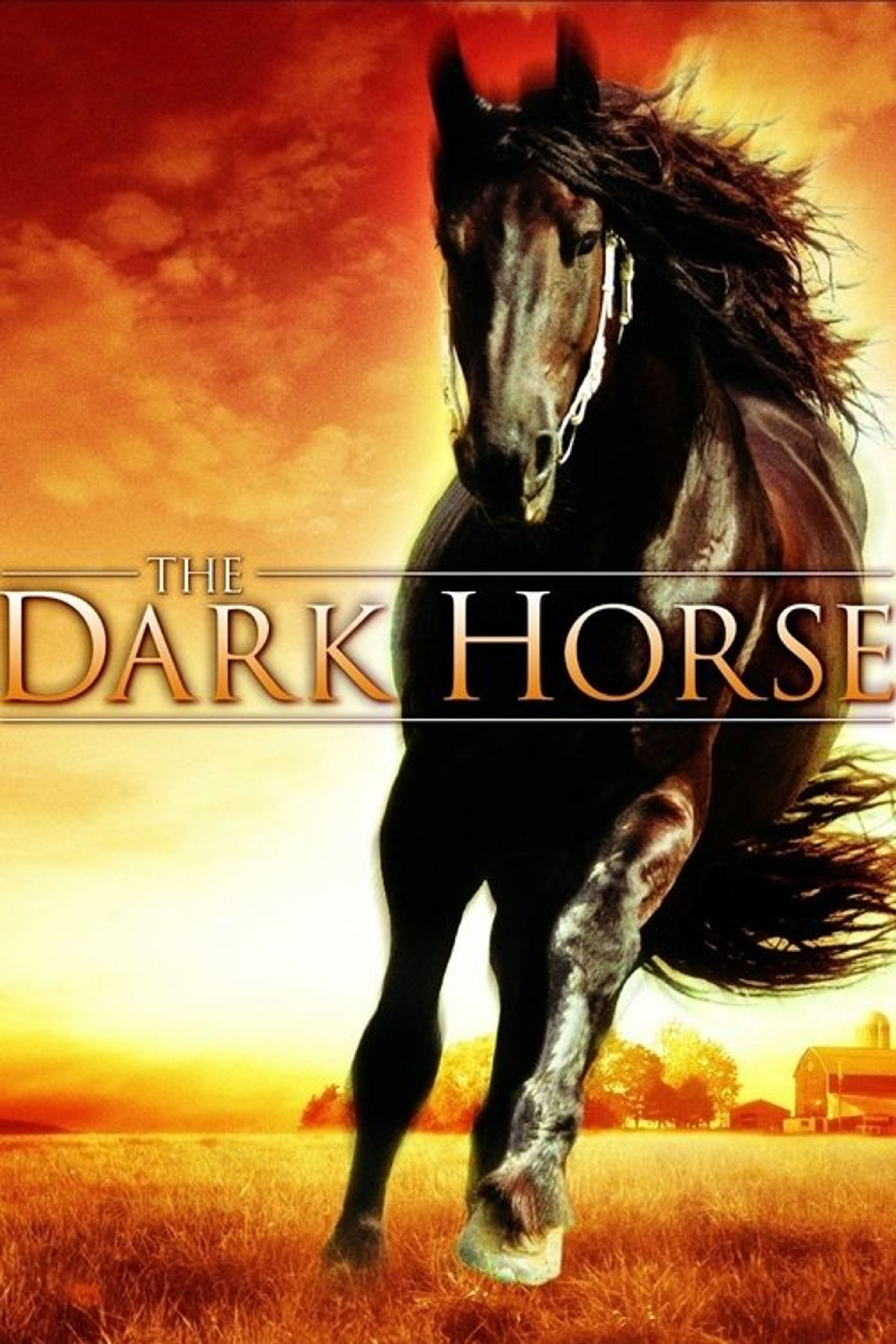 Poster image of The Dark Horse