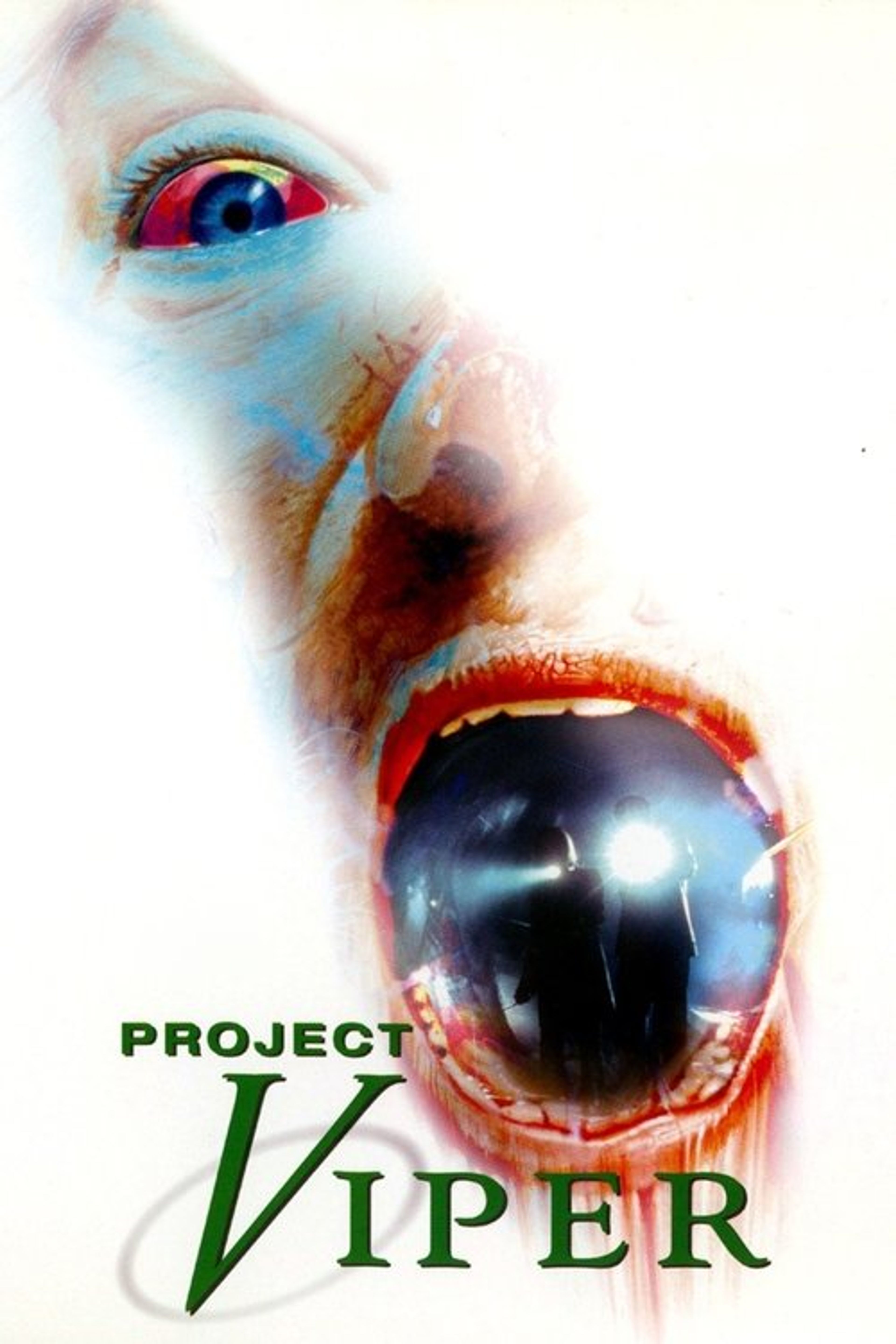 Poster image of Project Viper