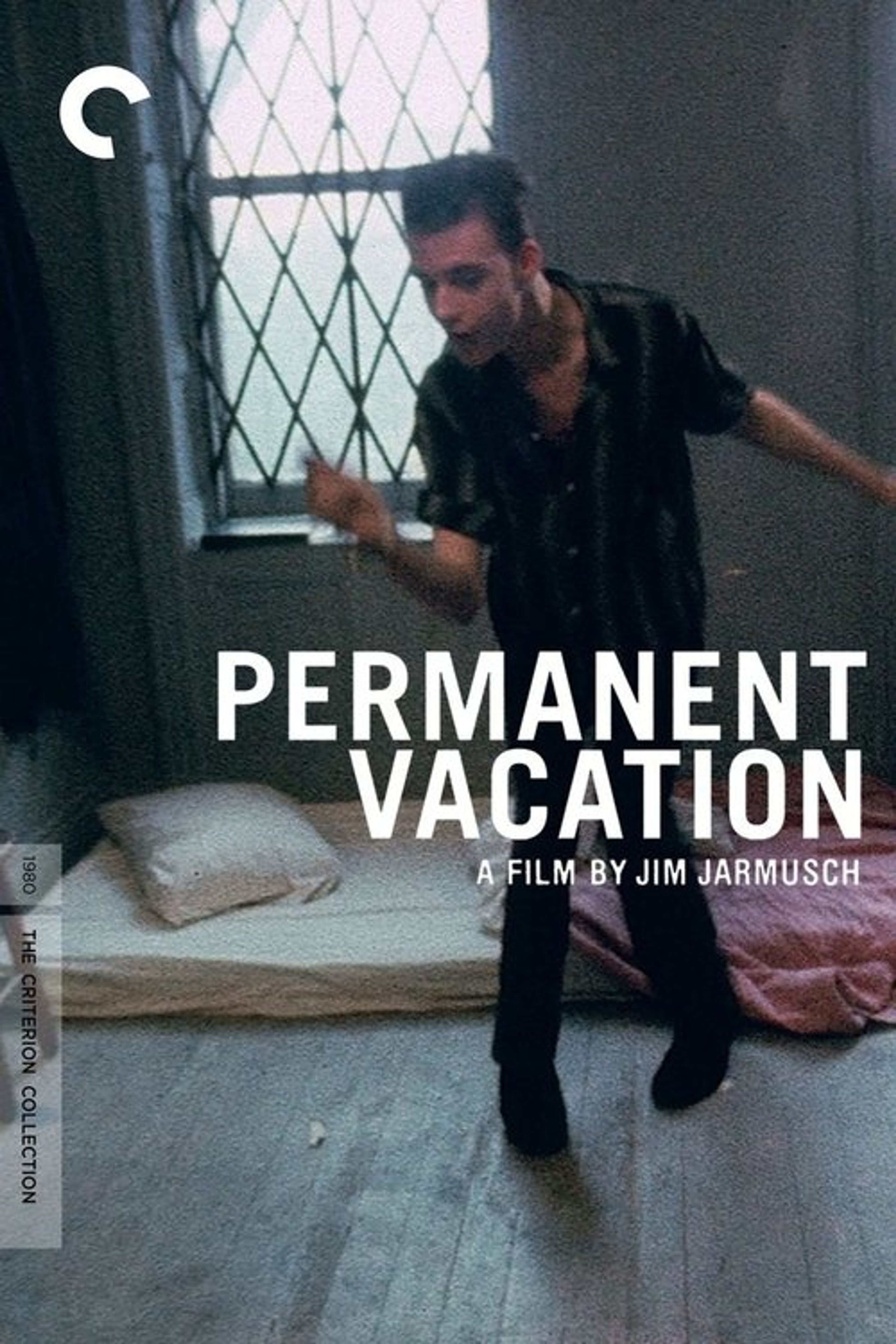 Poster image of Permanent Vacation