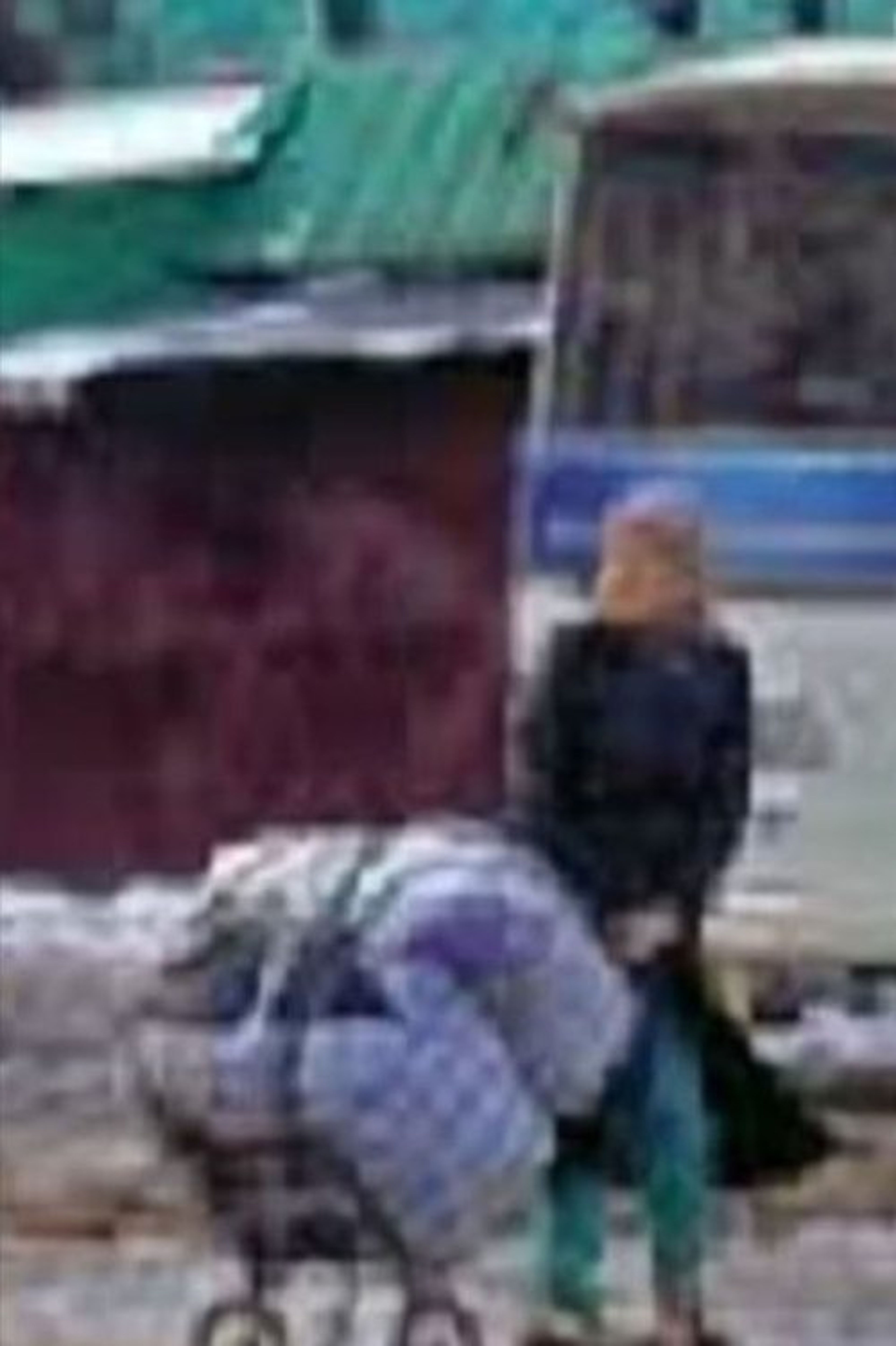 Poster image of Apricots in the Baskets