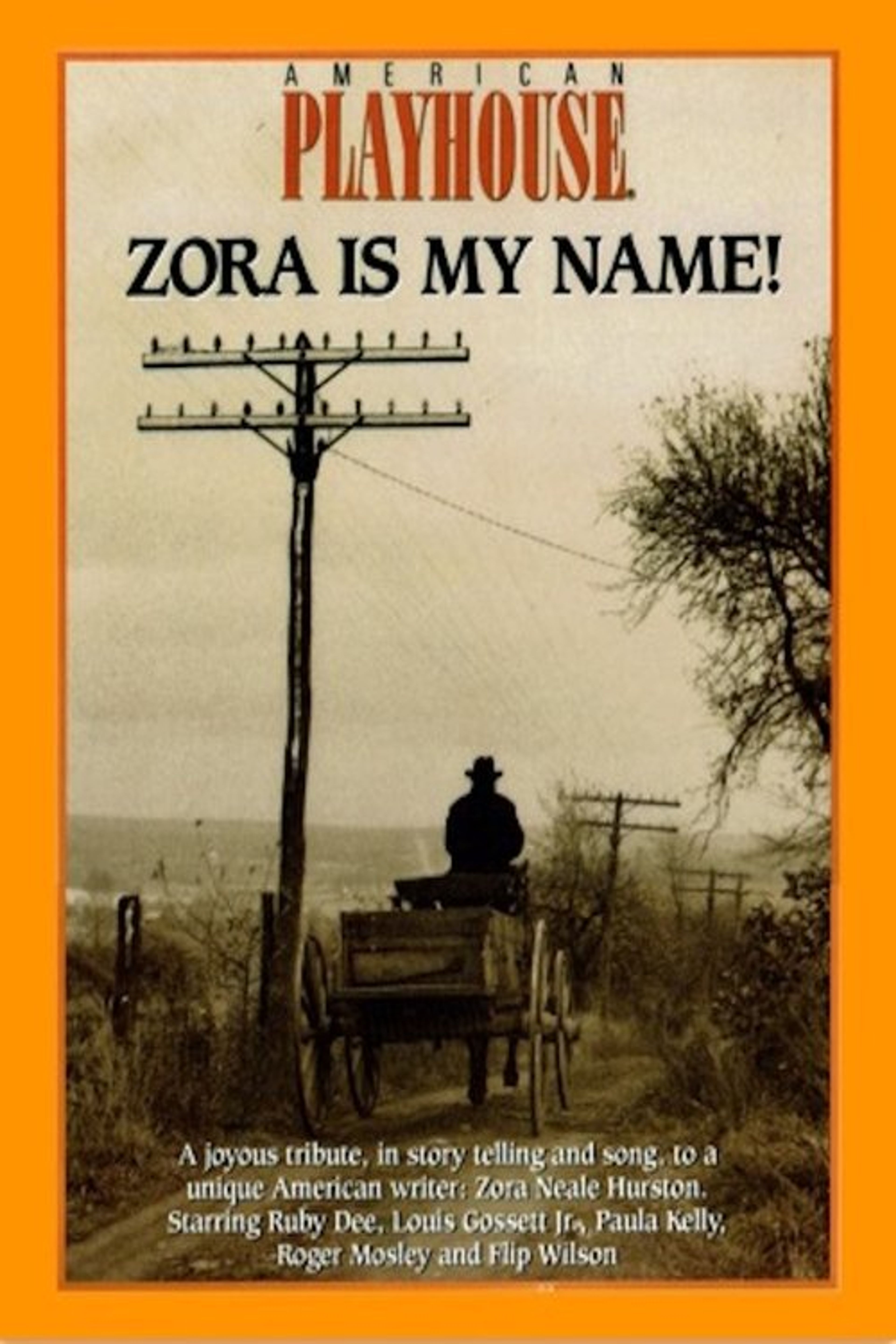 Poster image of Zora is My Name!