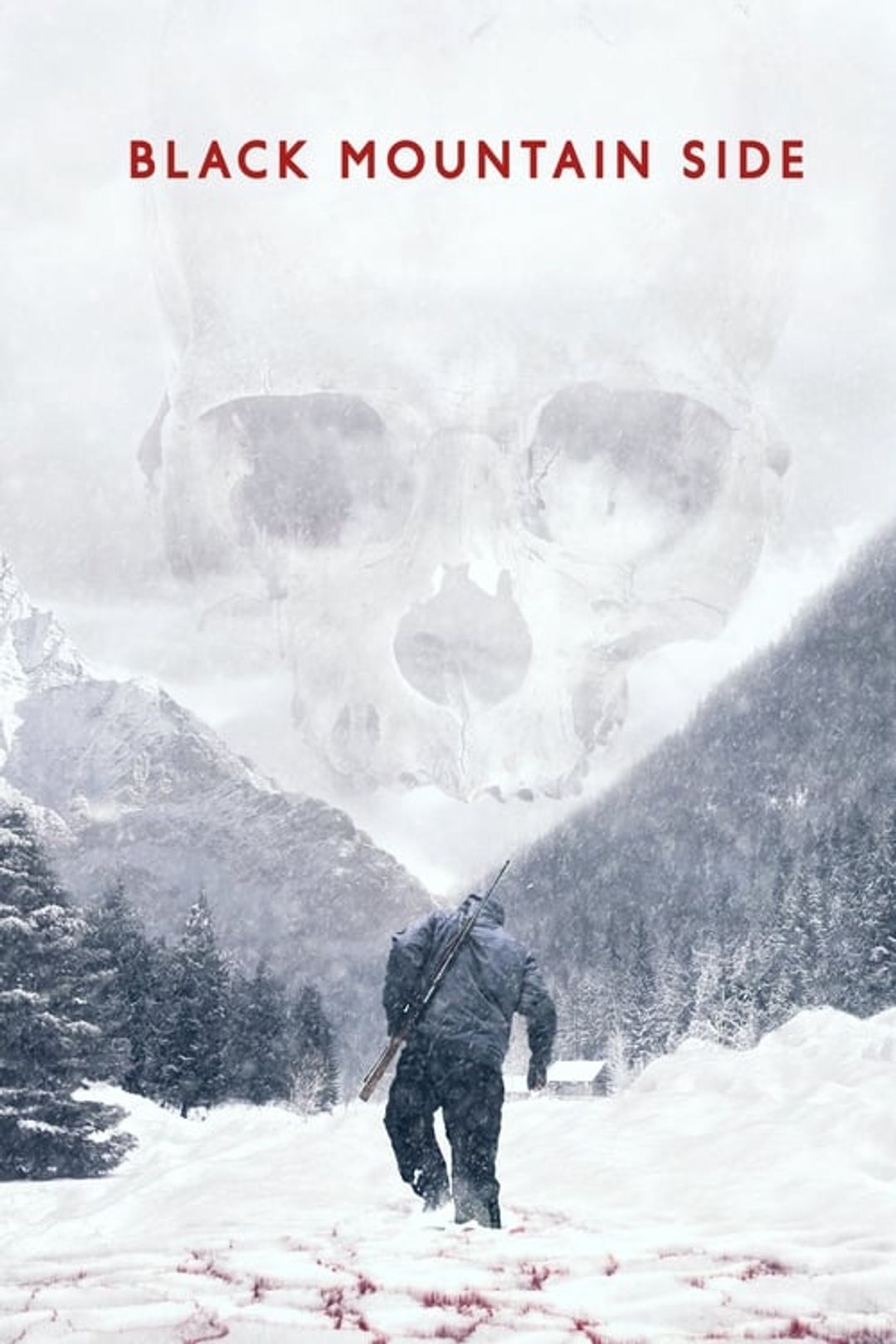 Poster image of Black Mountain Side