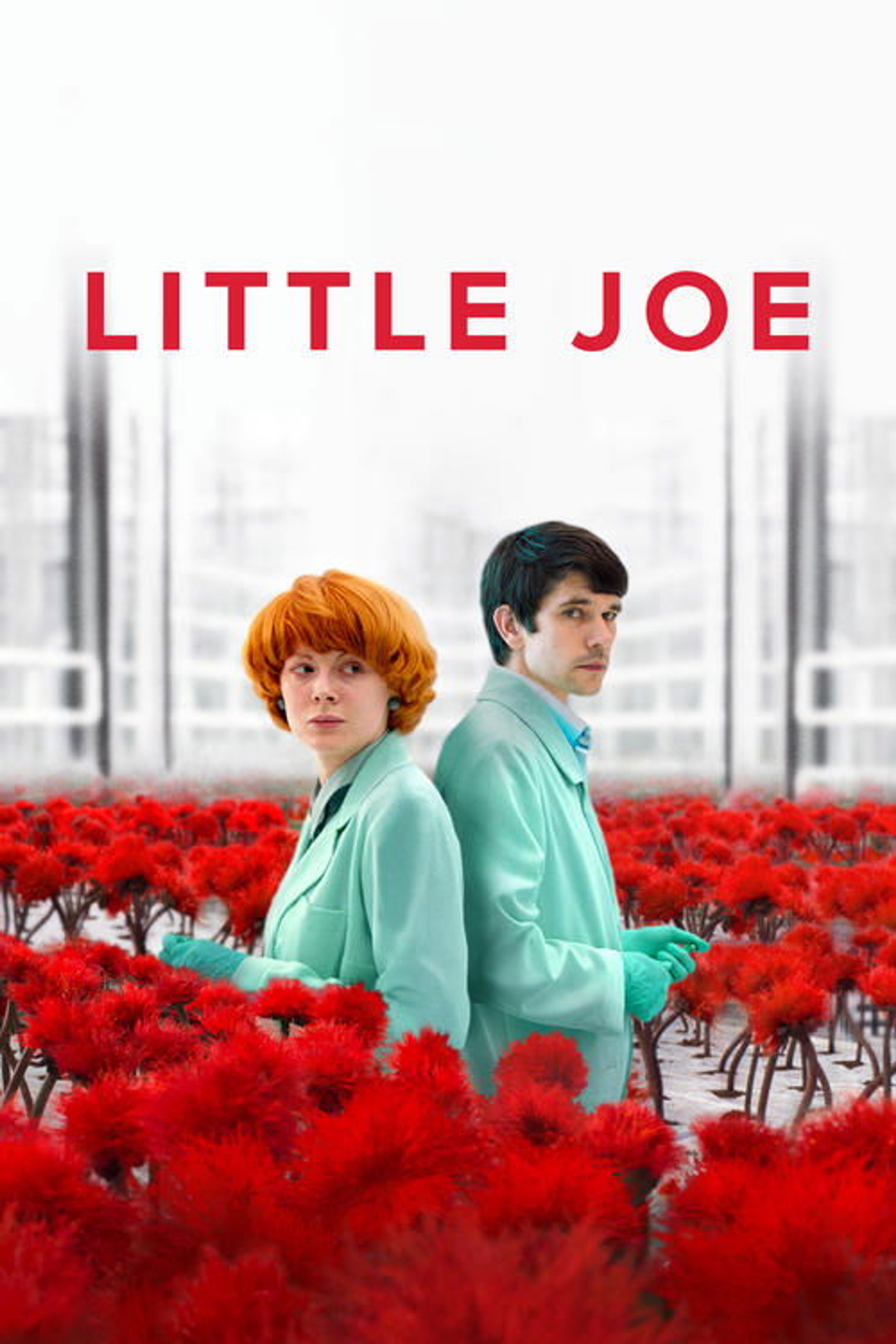 Poster image of Little Joe