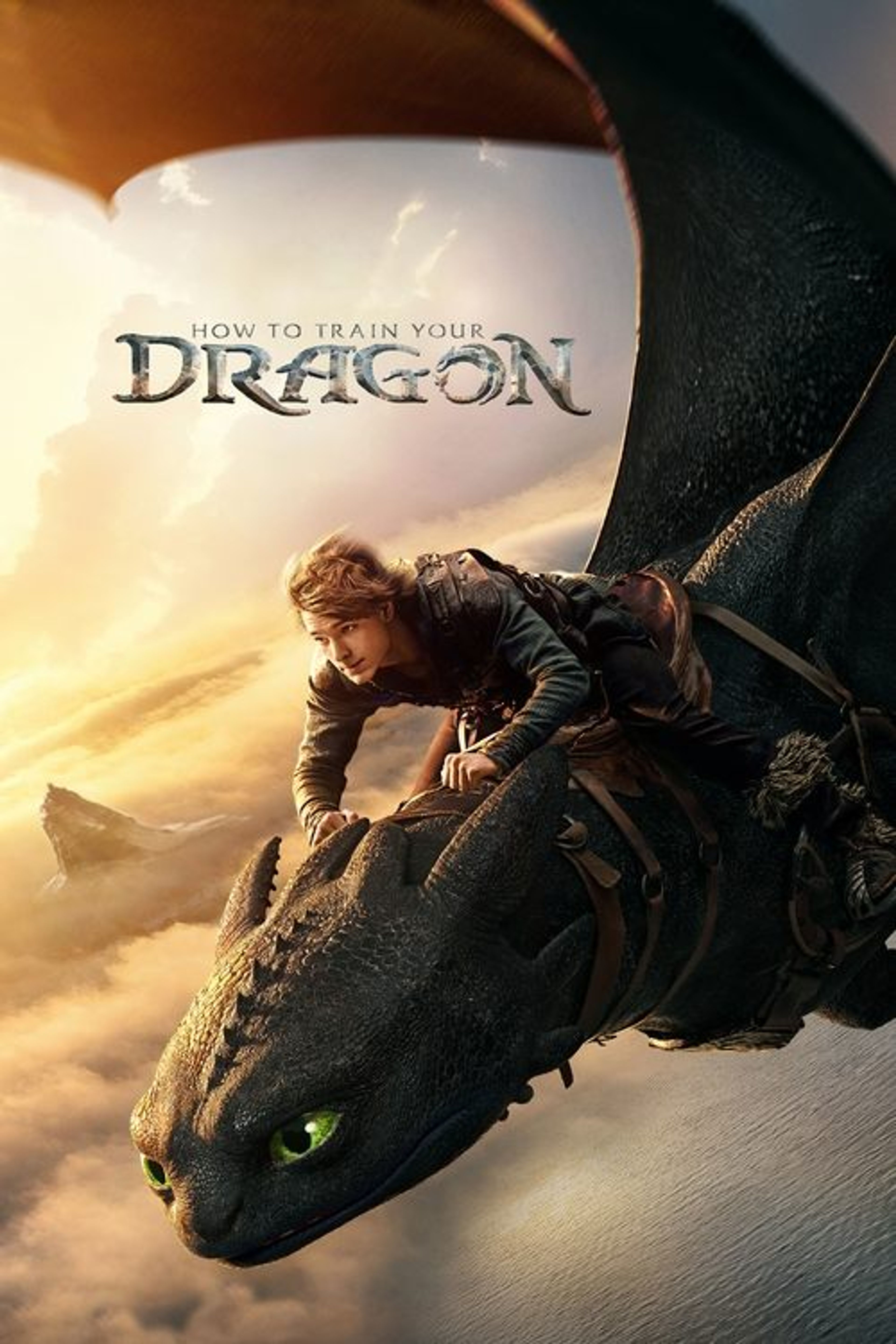 Poster image of How to Train Your Dragon