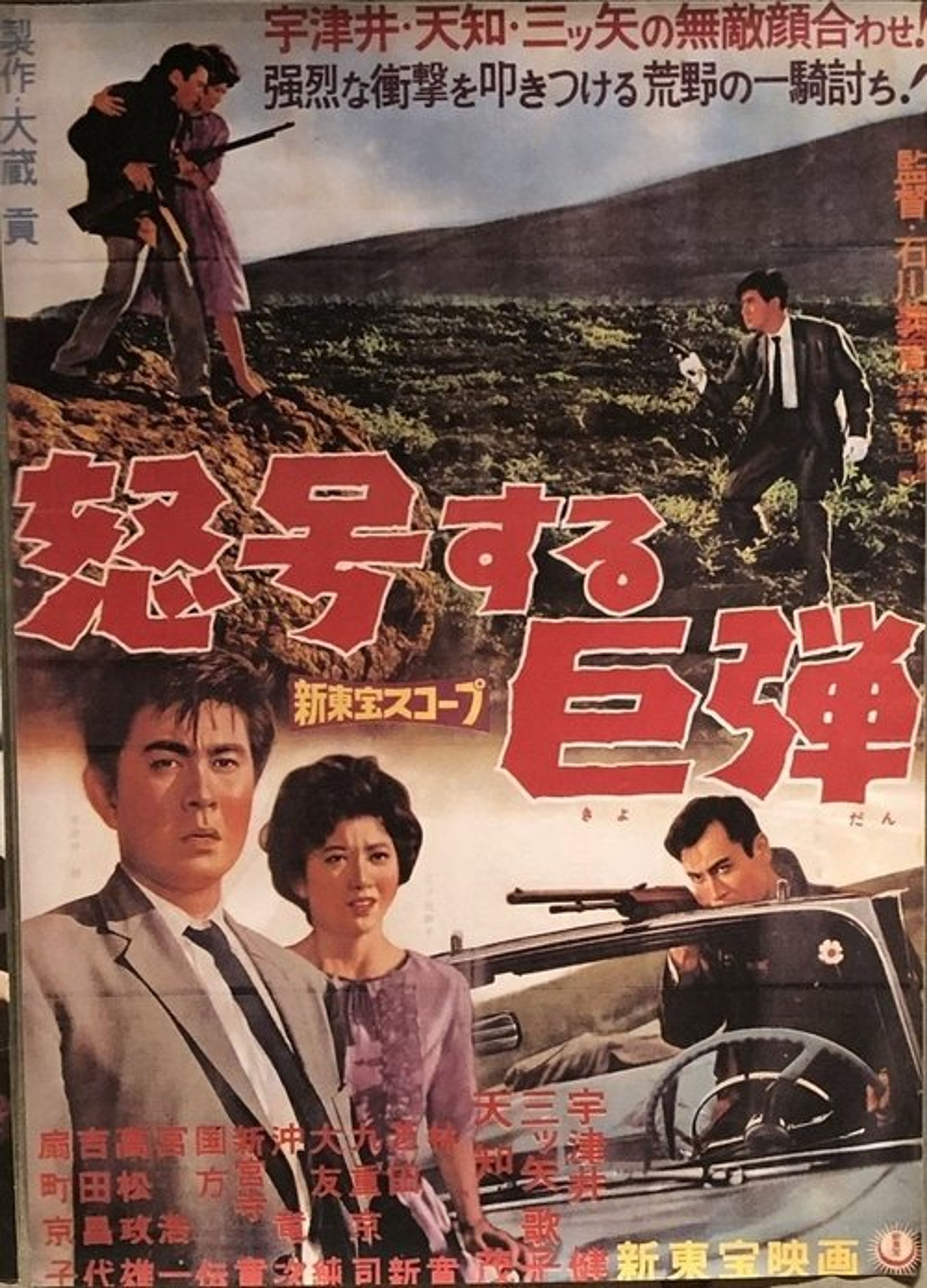 Poster image of 怒号する巨弾