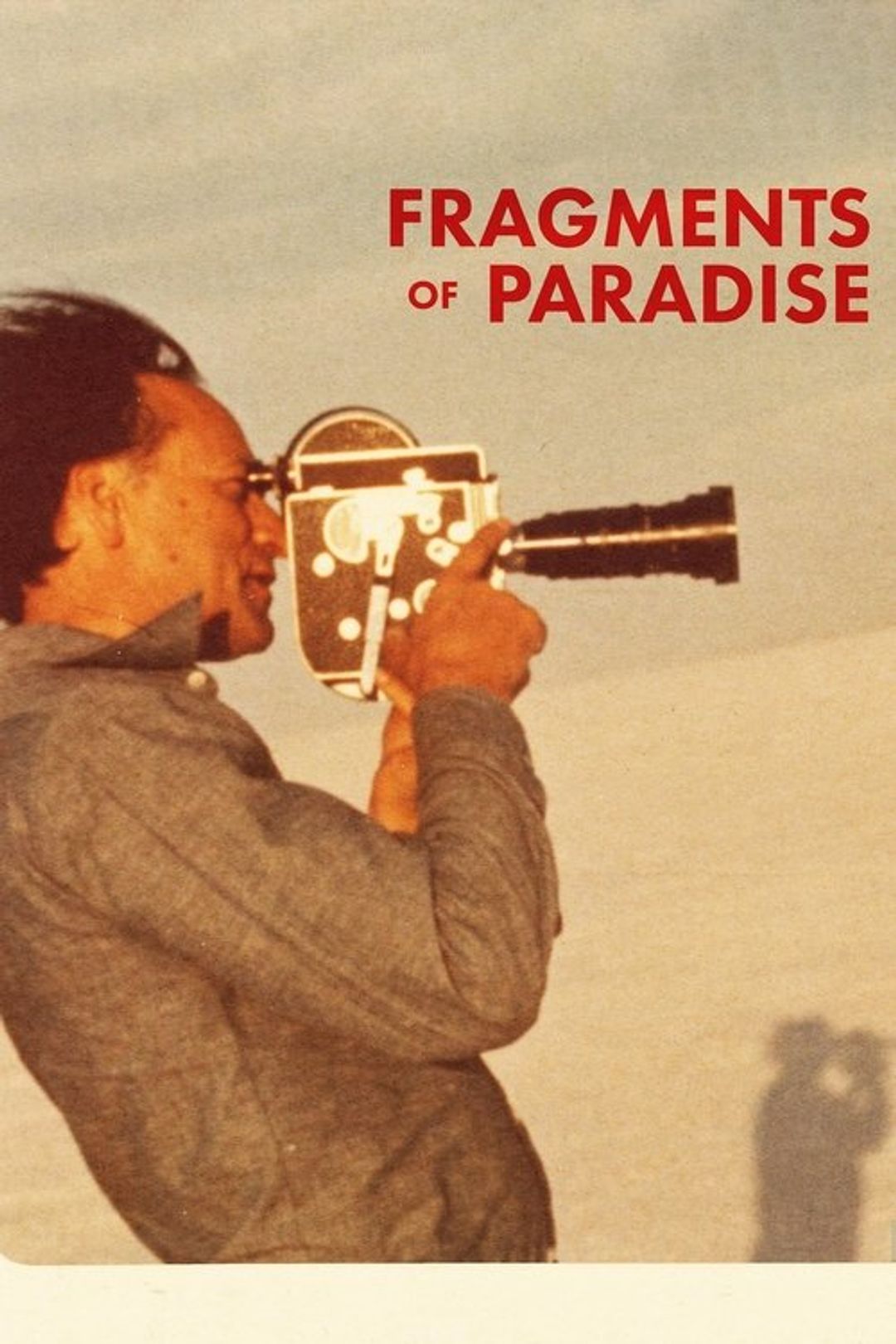 Poster image of Fragments of Paradise