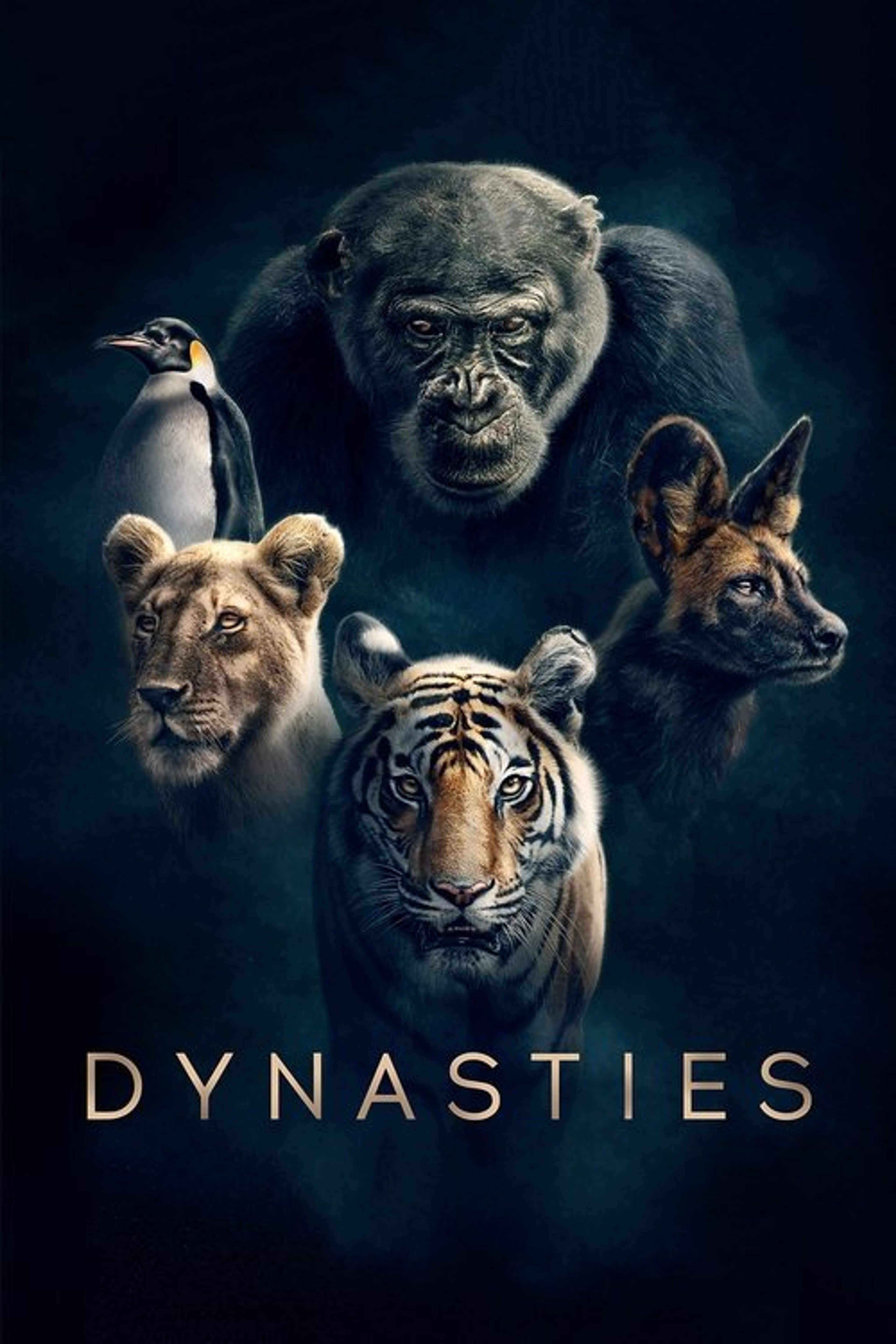 Poster image of Dynasties