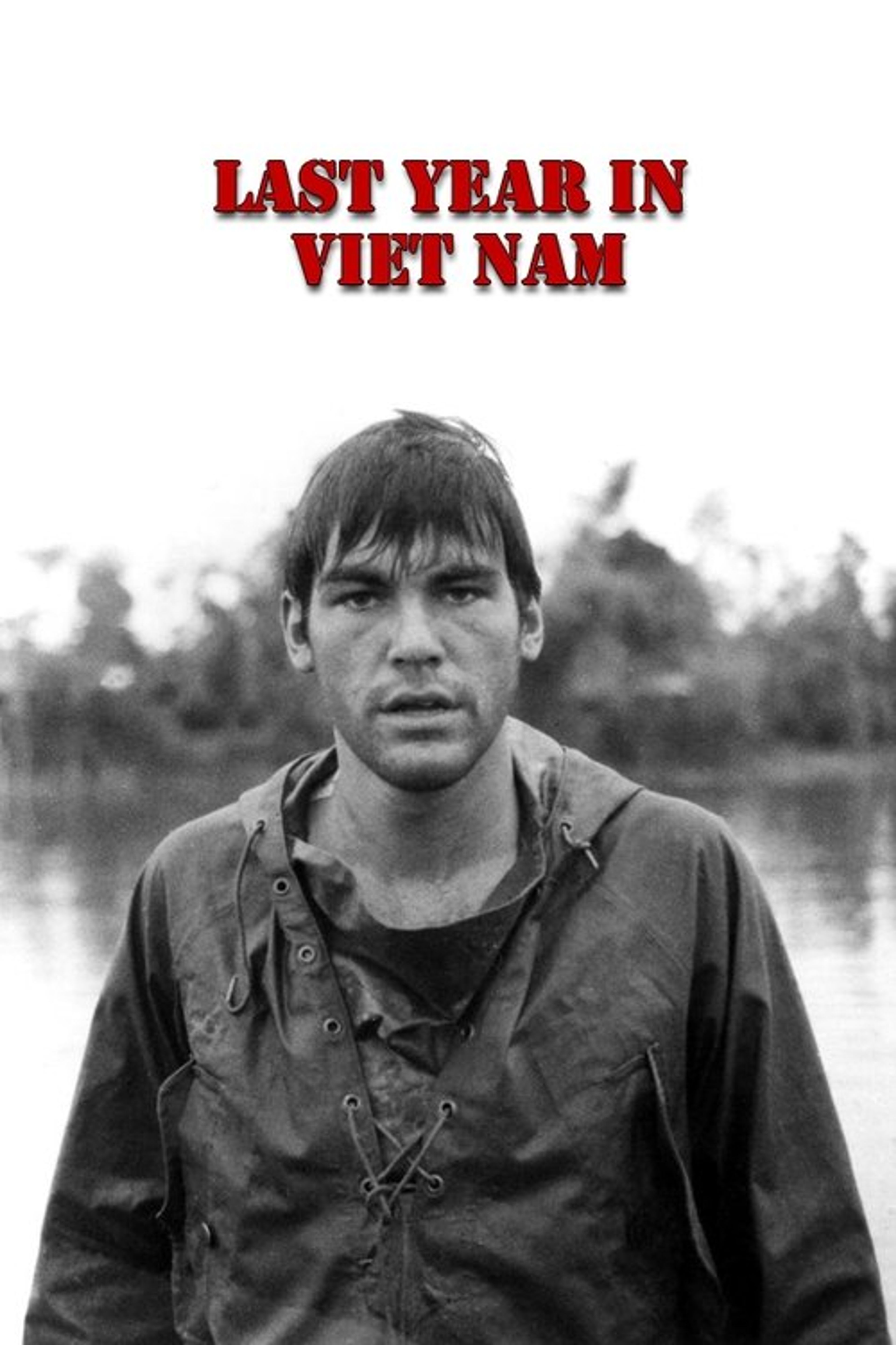 Poster image of Last Year in Viet Nam