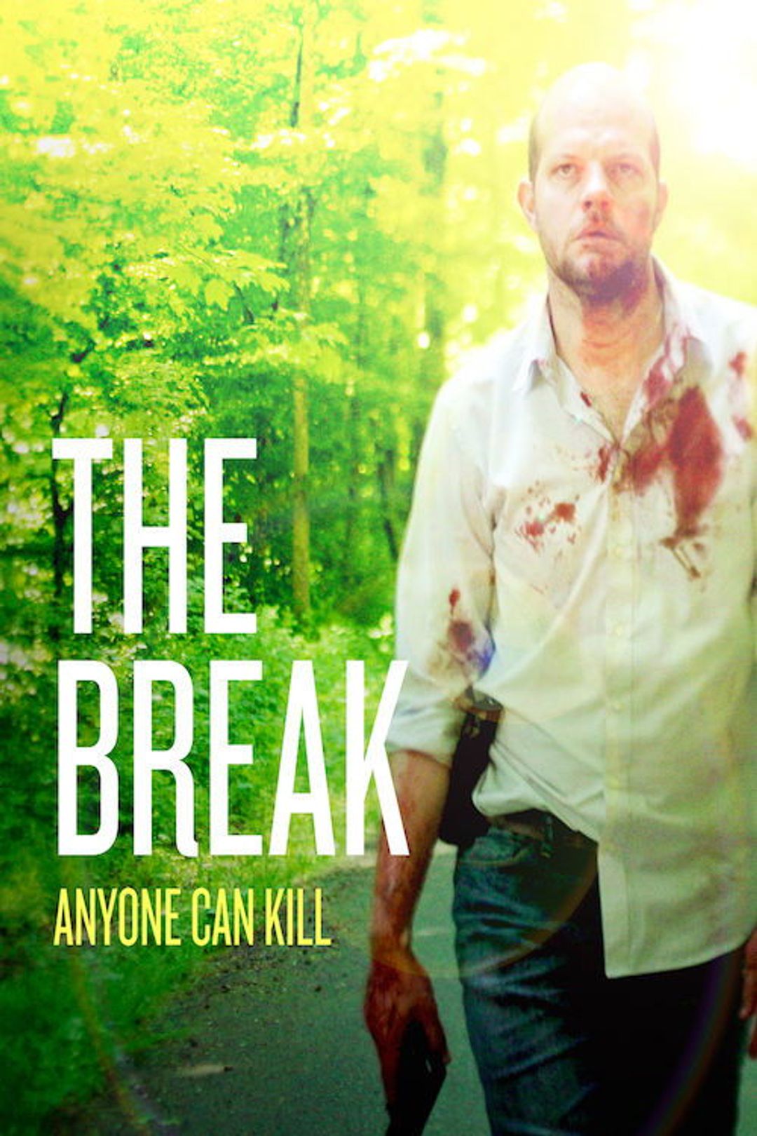 Poster image of The Break