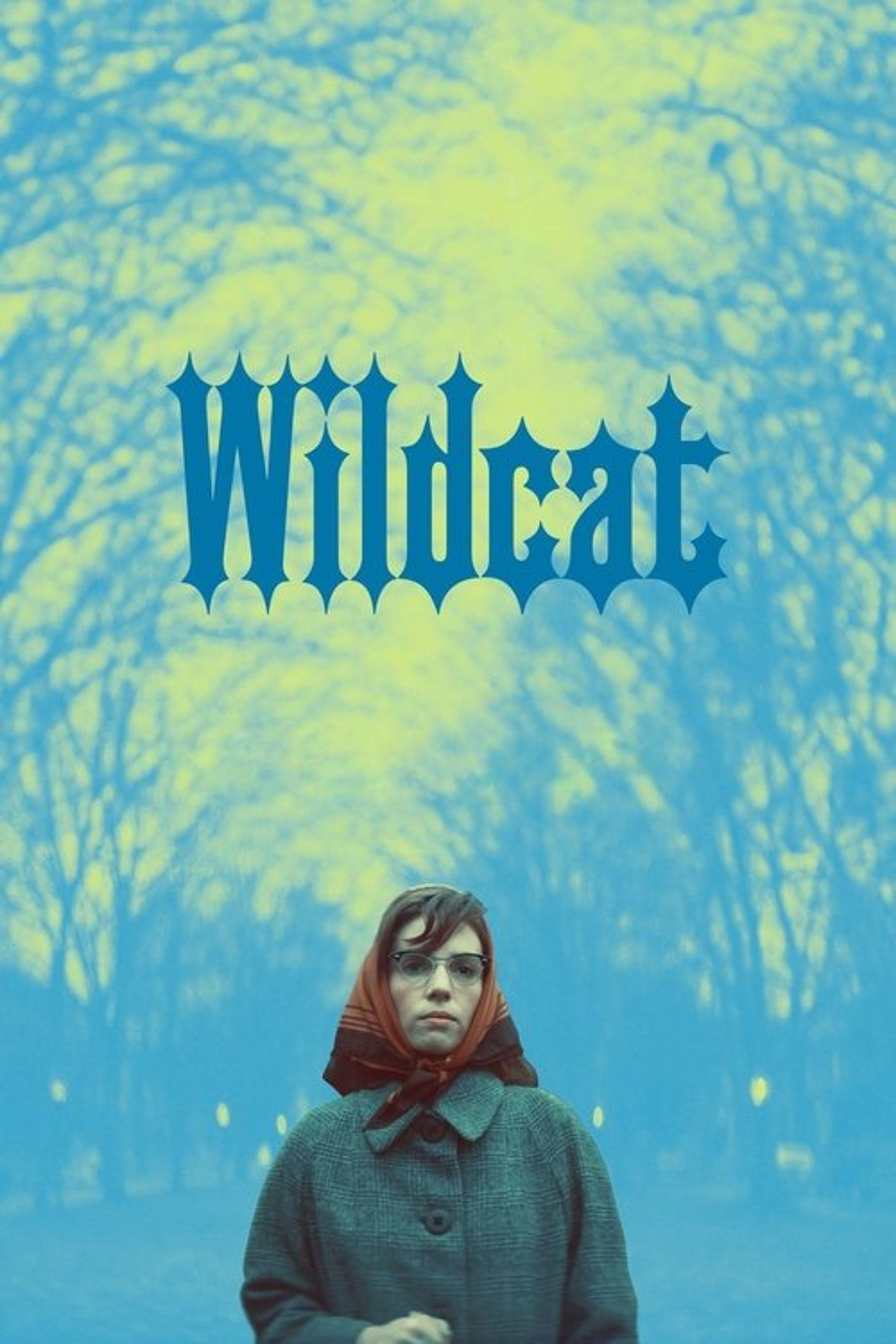 Poster image of Wildcat