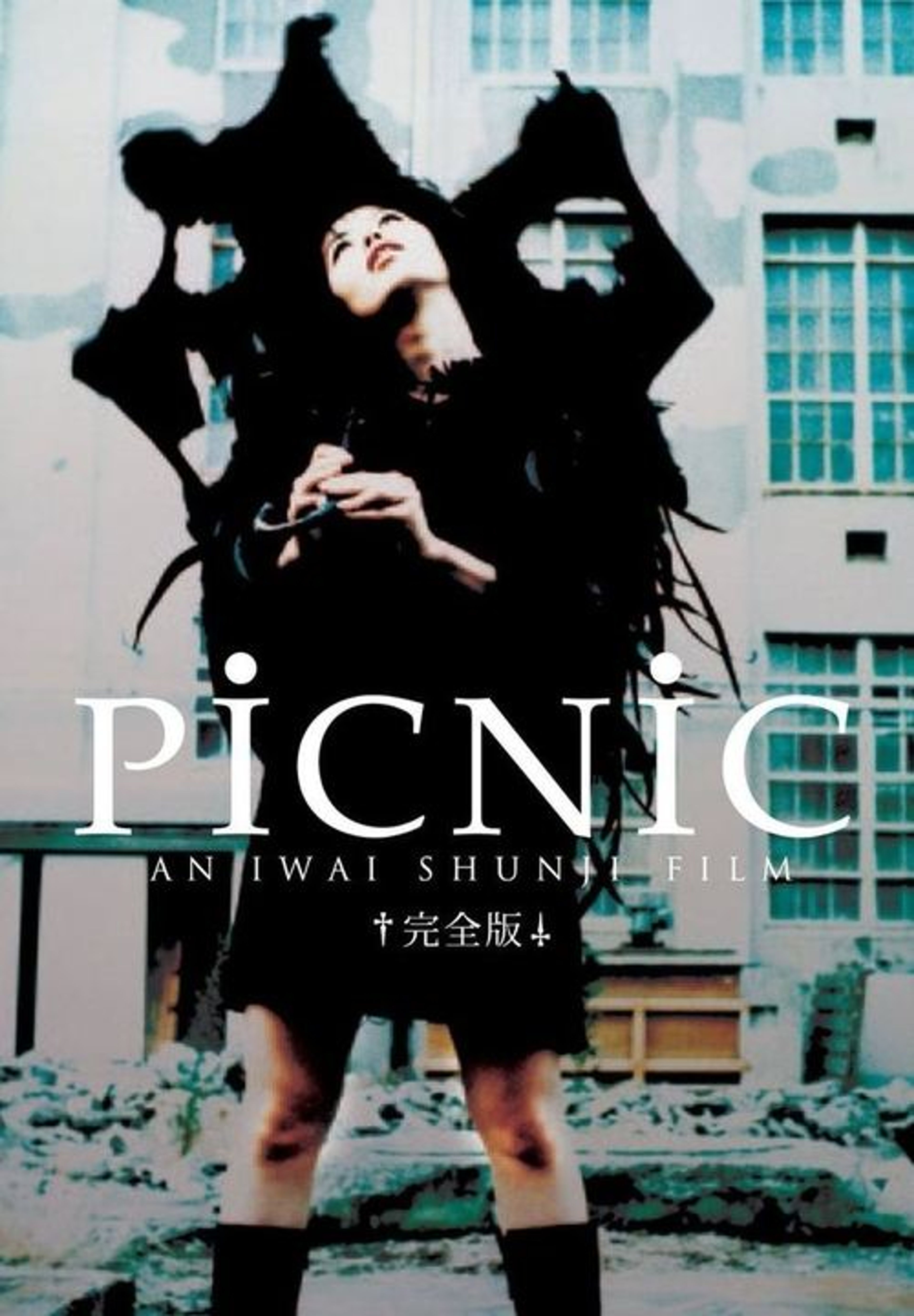 Poster image of Picnic