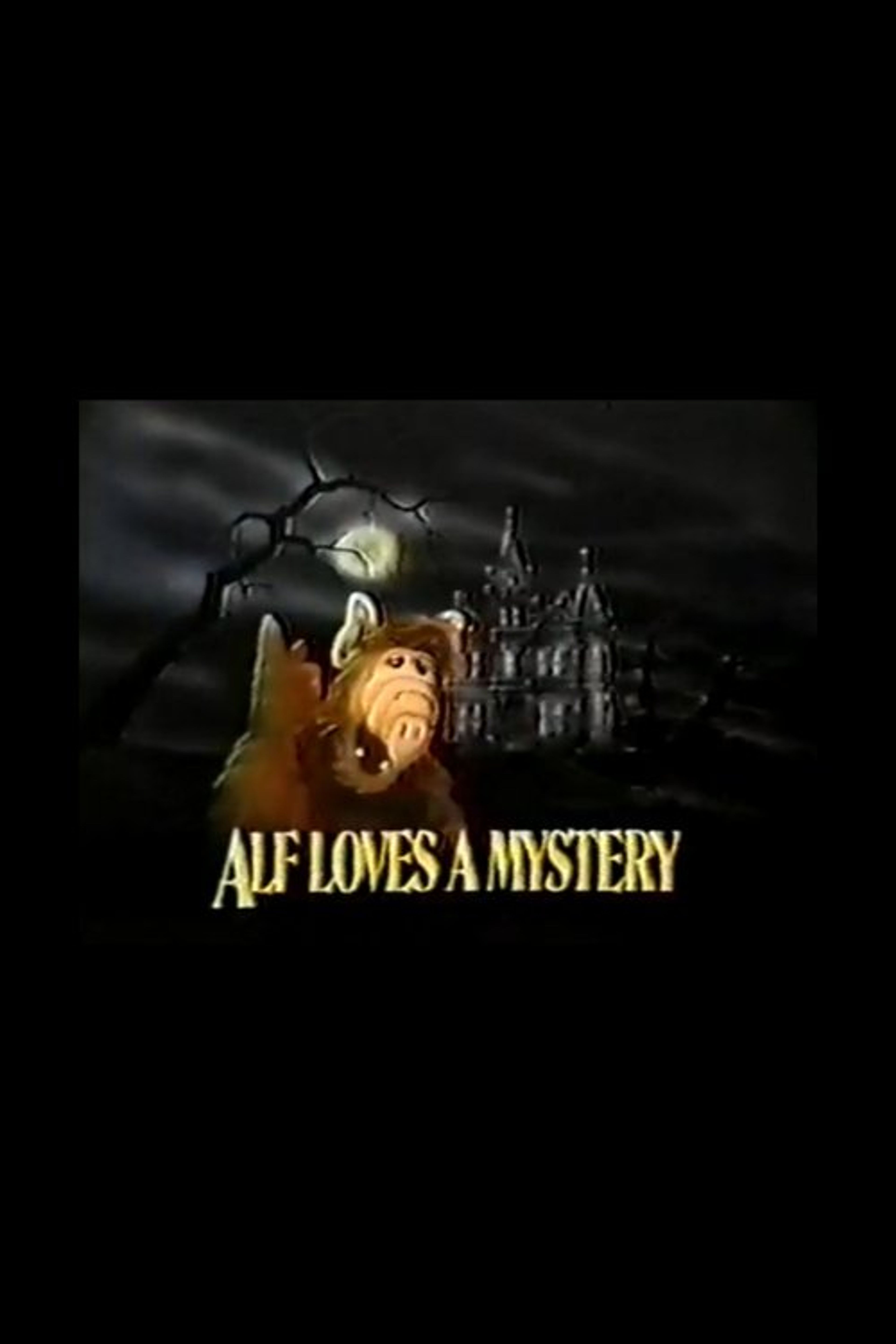 Poster image of ALF Loves a Mystery