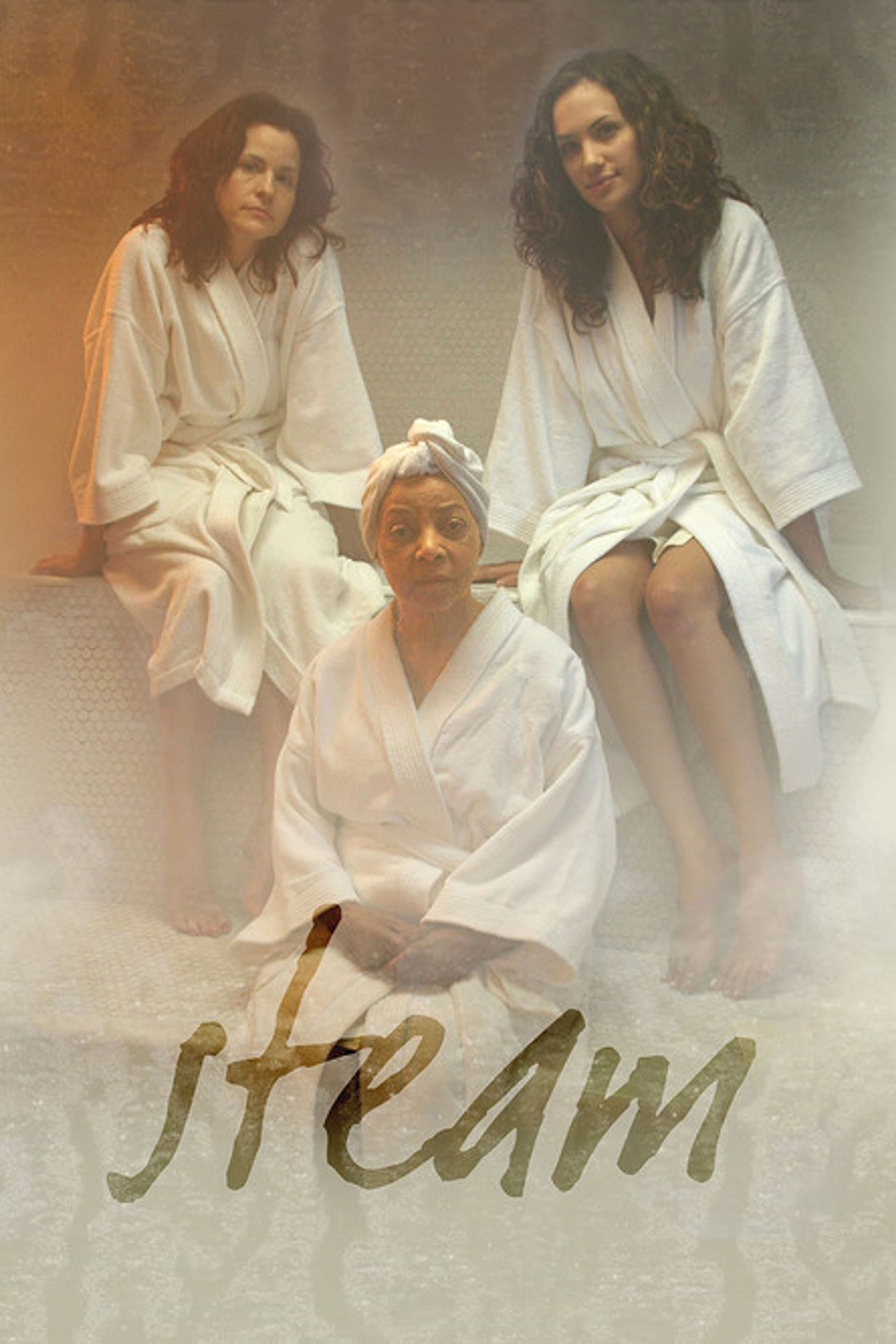 Poster image of Steam