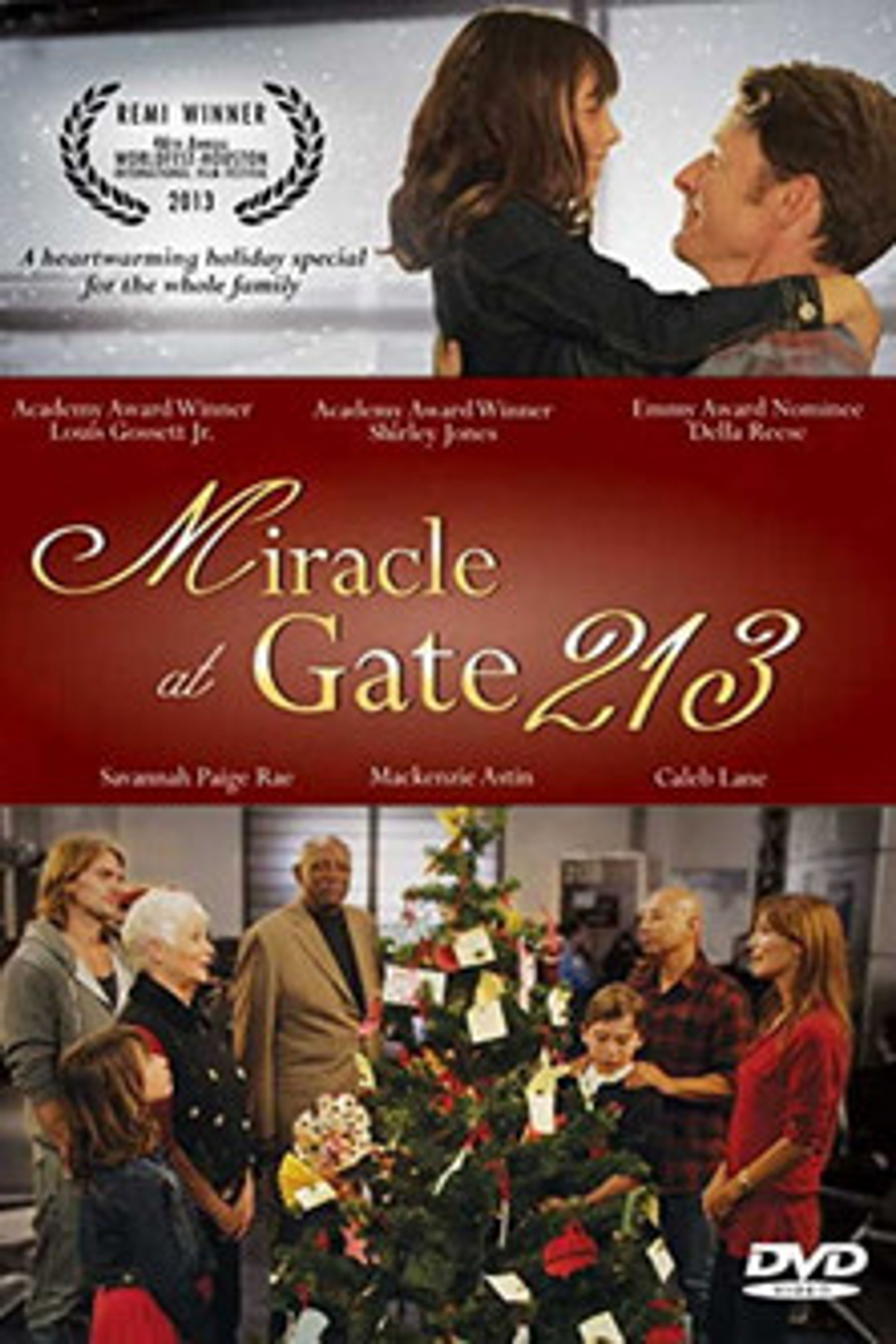 Poster image of Miracle at Gate 213