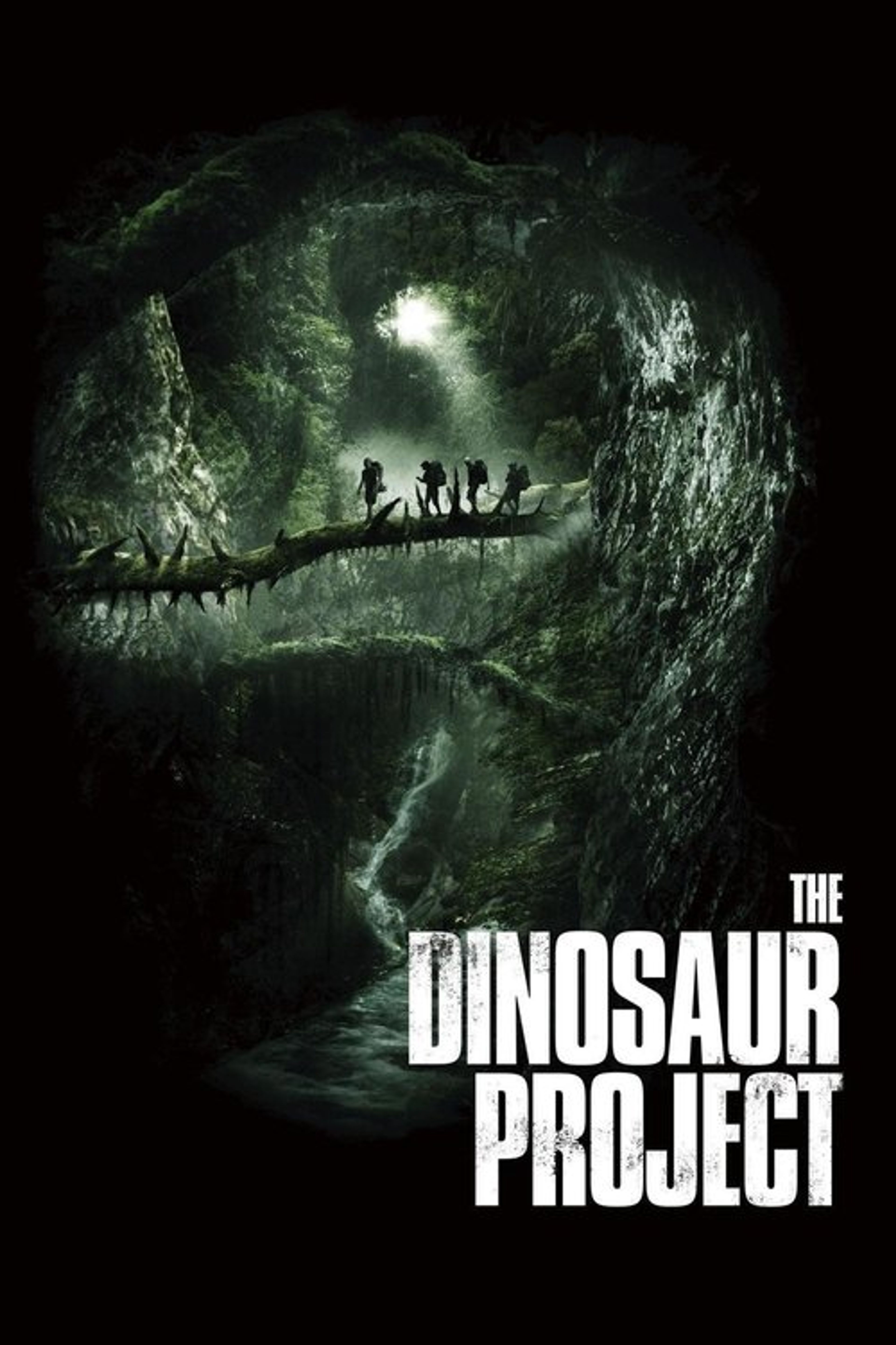 Poster image of The Dinosaur Project