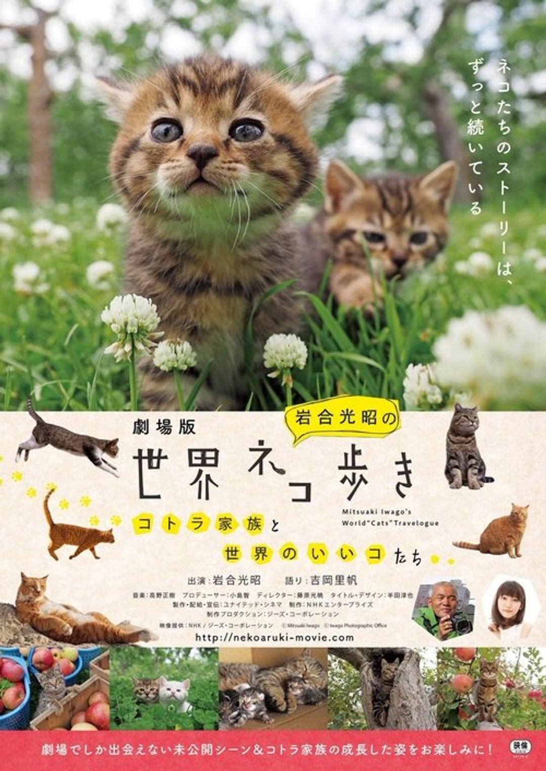 Poster image of Mitsuaki Iwago's World “Cats” Travelogue