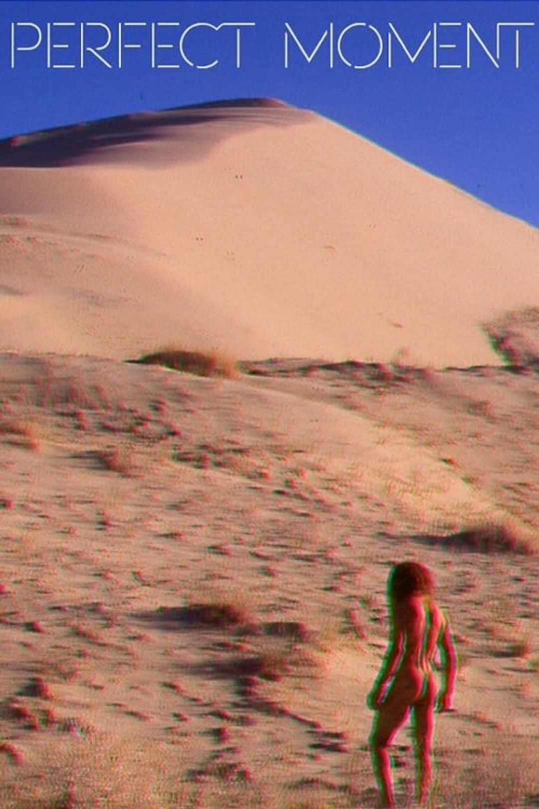 Poster image of Perfect Moment