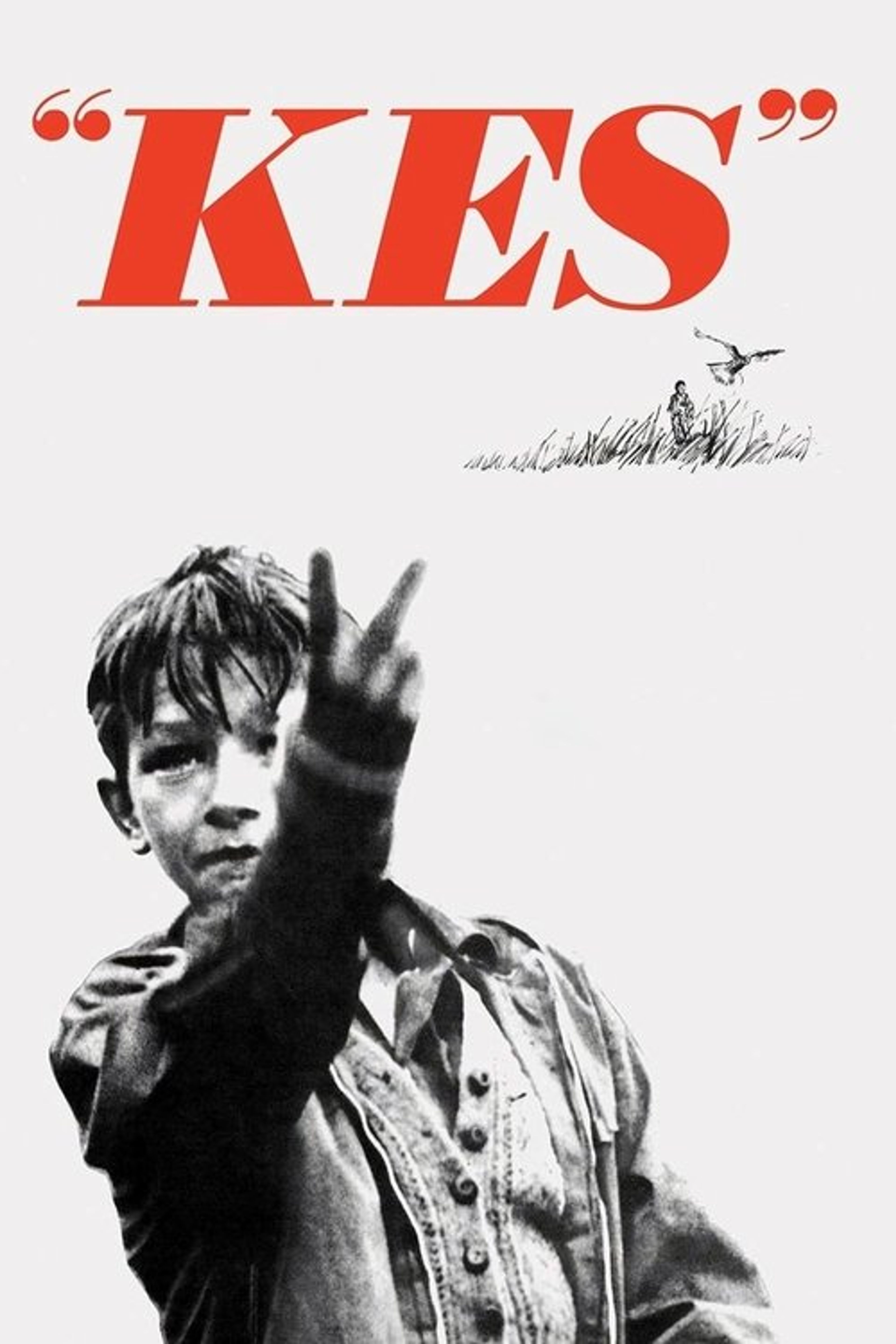 Poster image of Kes