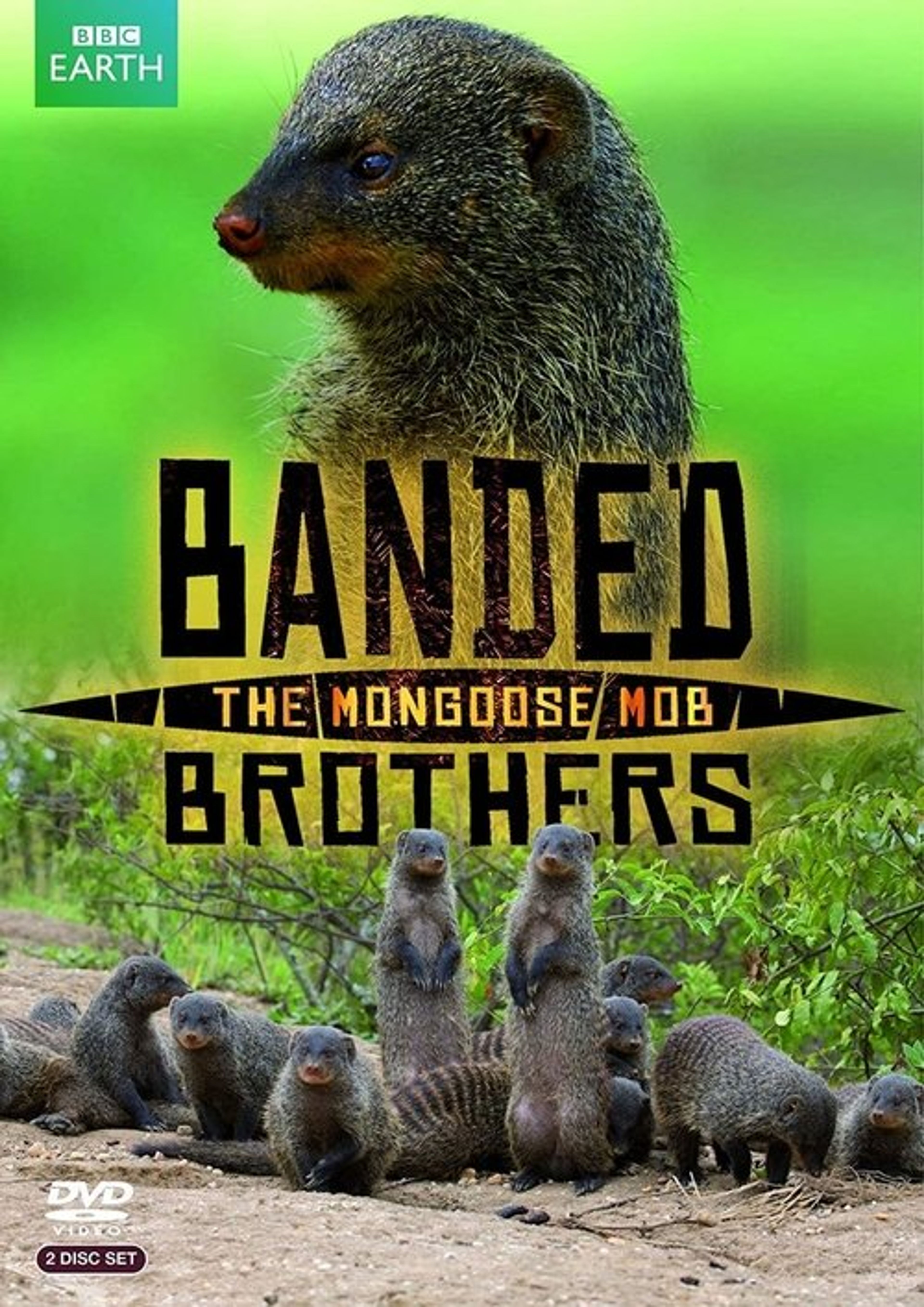 Poster image of Banded Brothers: The Mongoose Mob