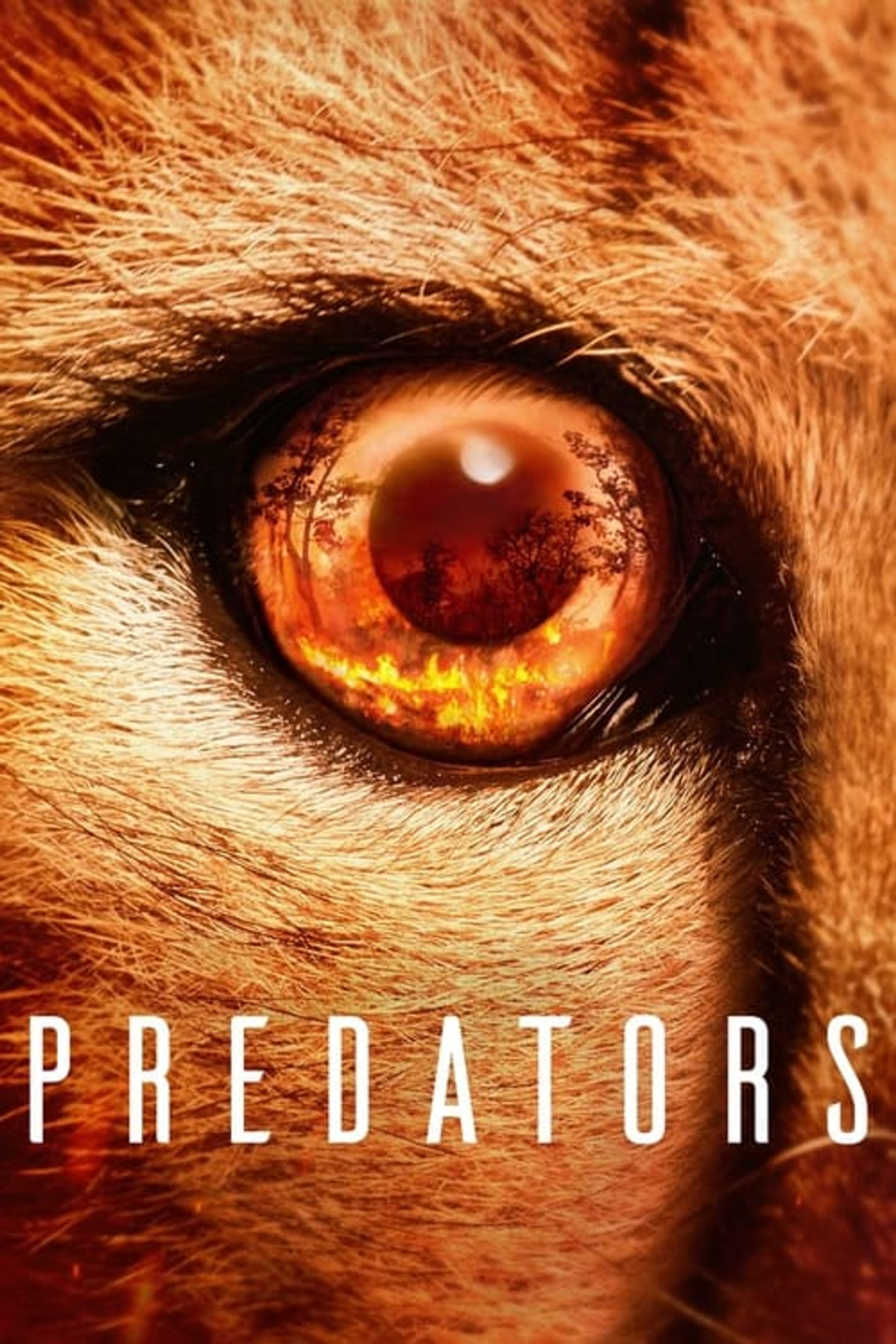 Poster image of Predators