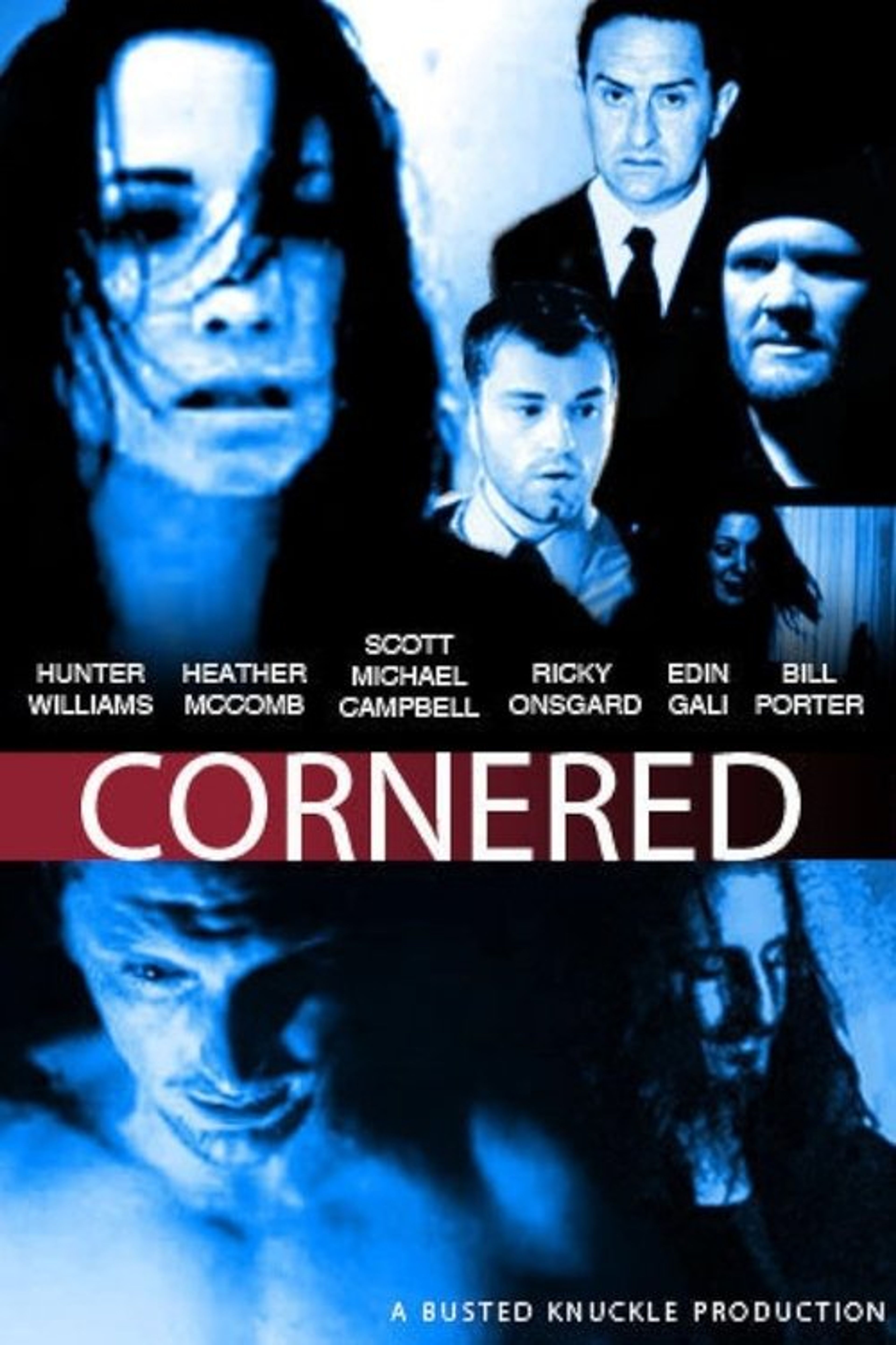 Poster image of Cornered