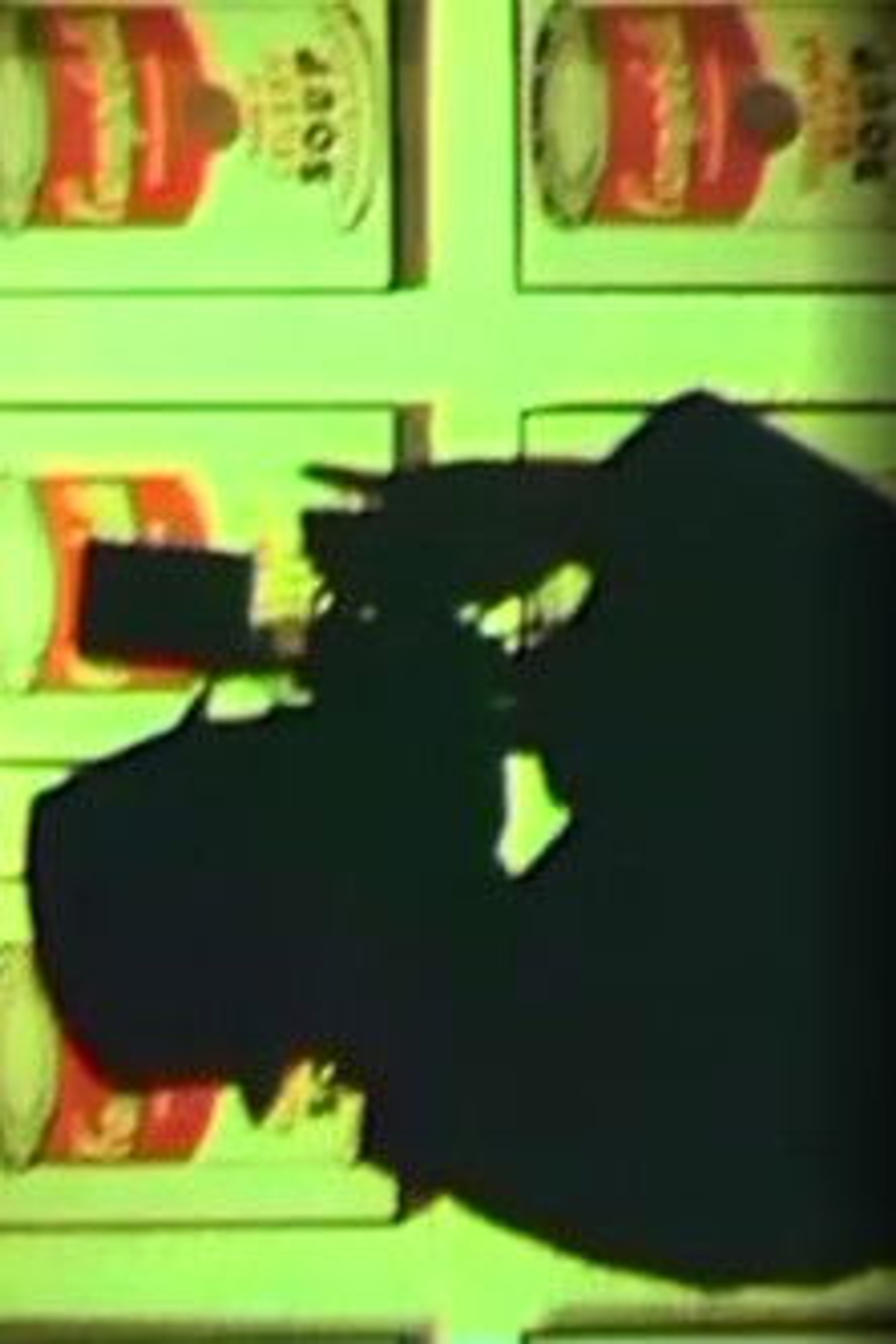 Poster image of Warhol and Maciunas