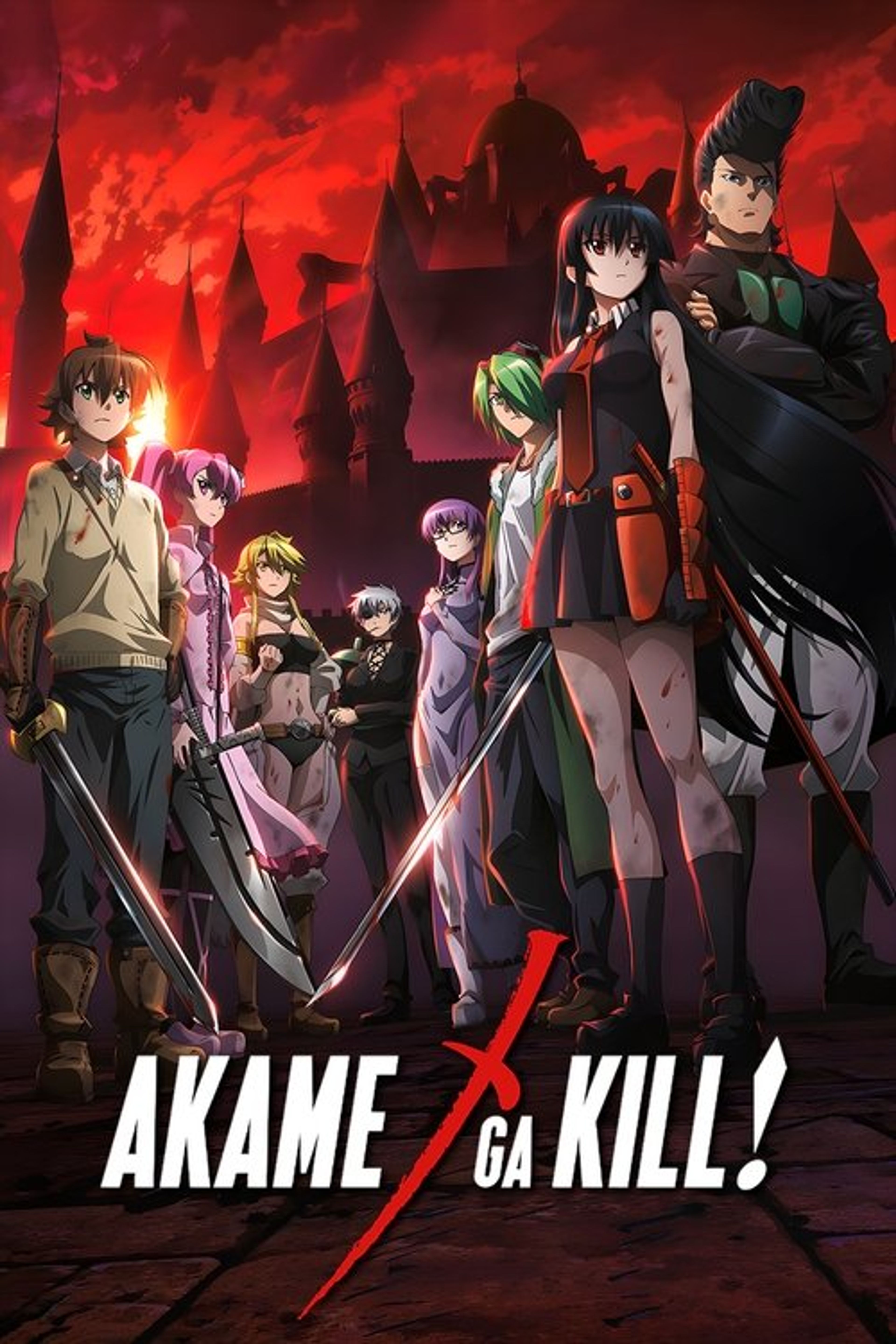 Poster image of Akame ga Kill!
