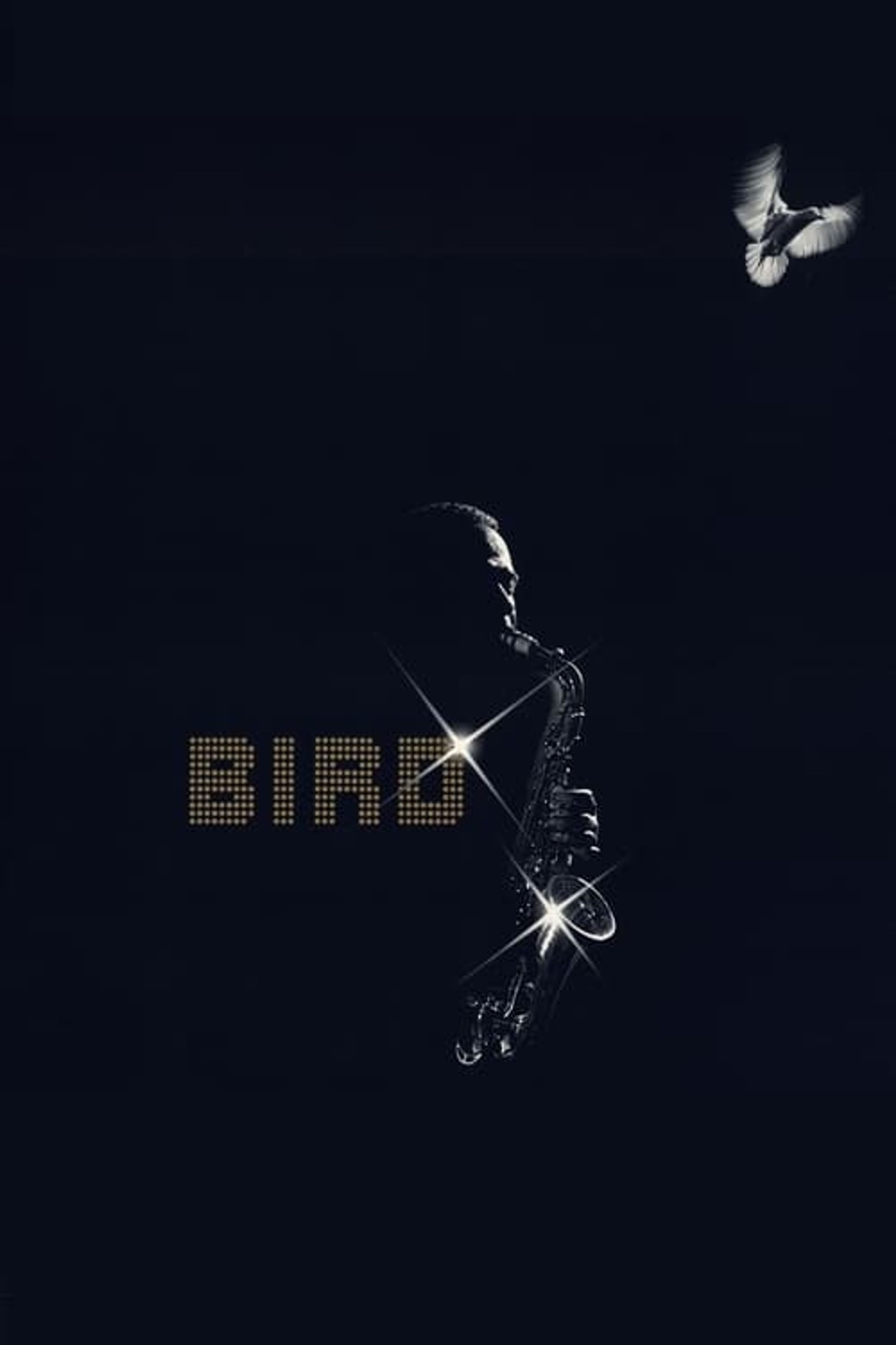 Poster image of Bird