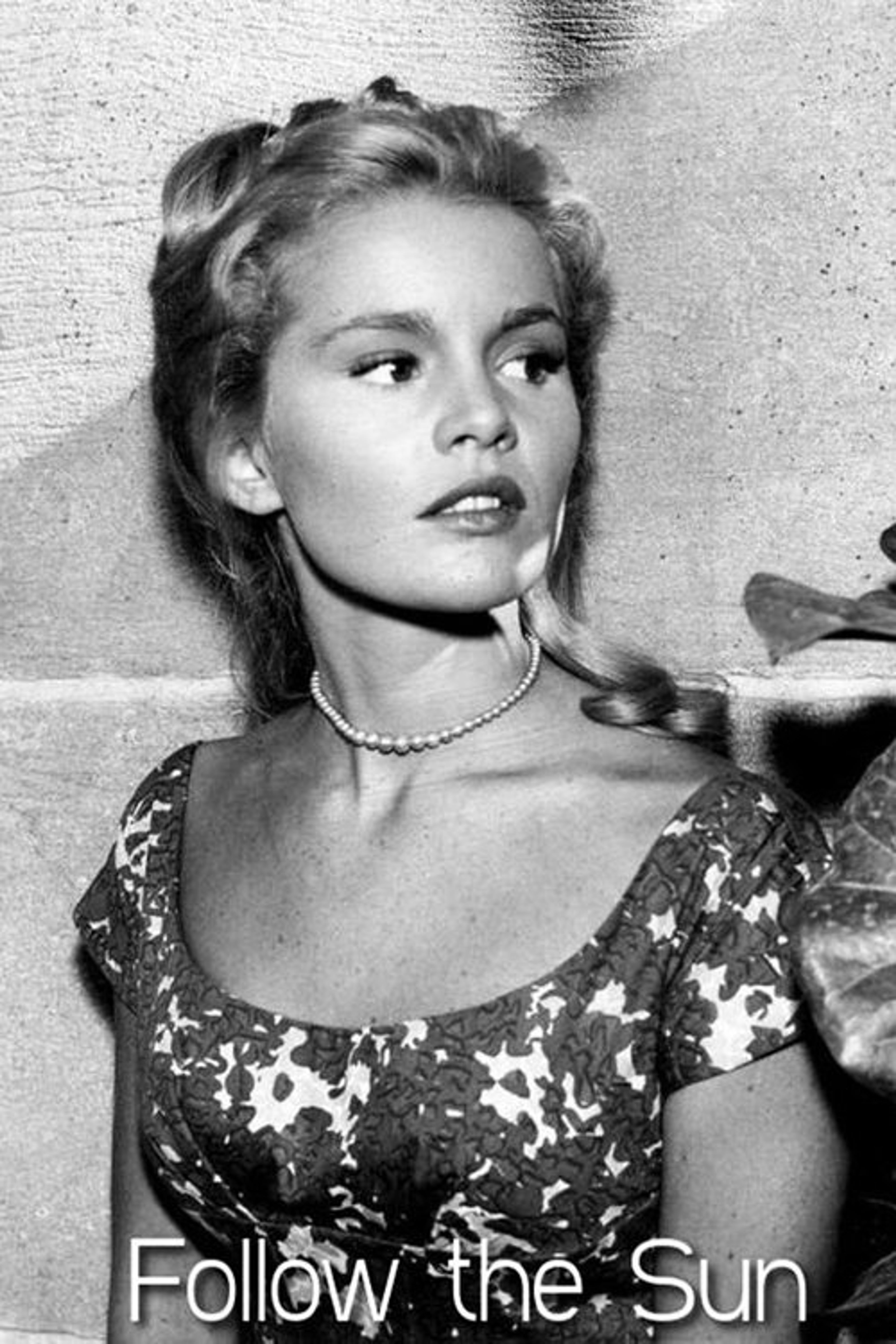 Poster image of Follow the Sun