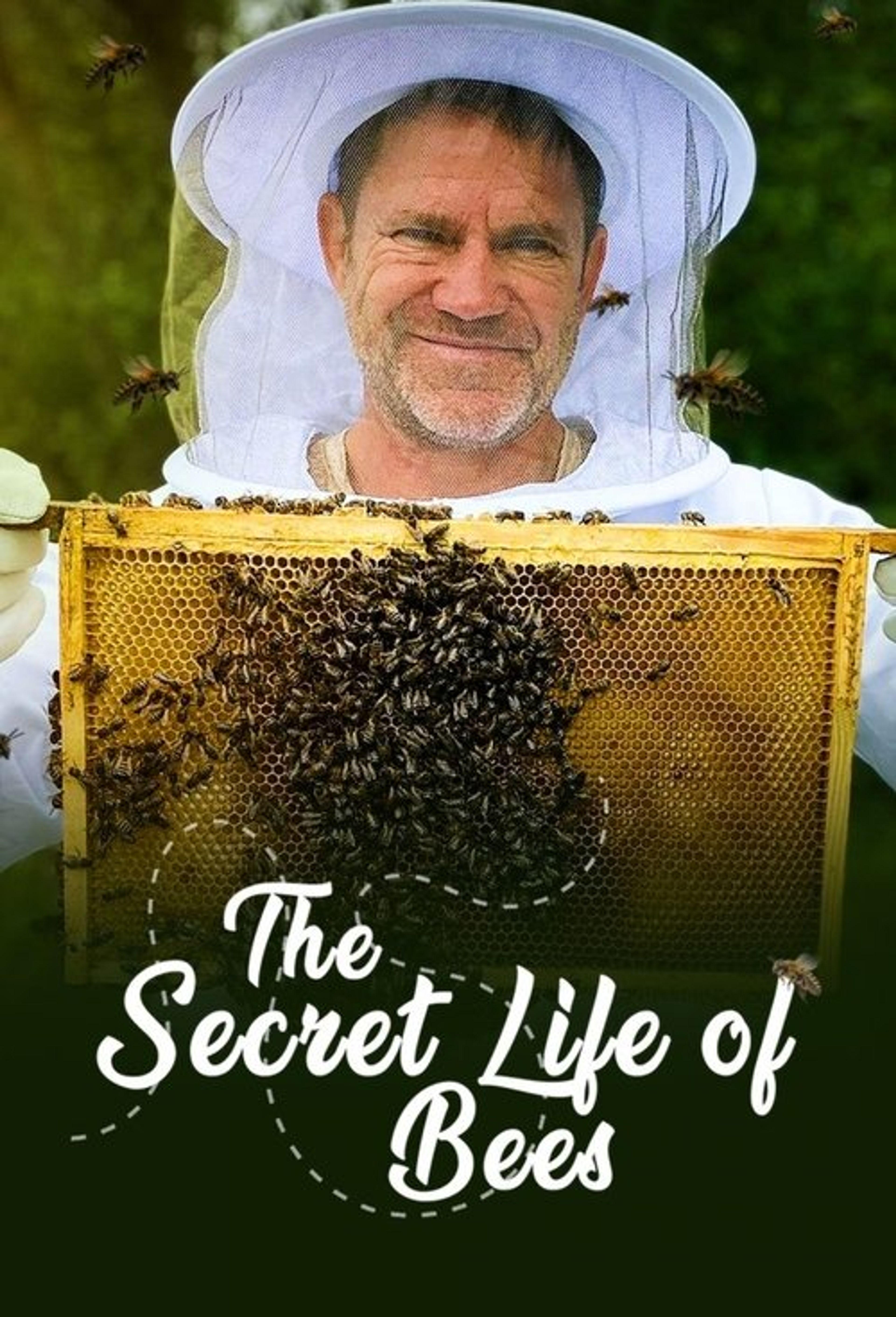 Poster image of The Secret Life of Bees