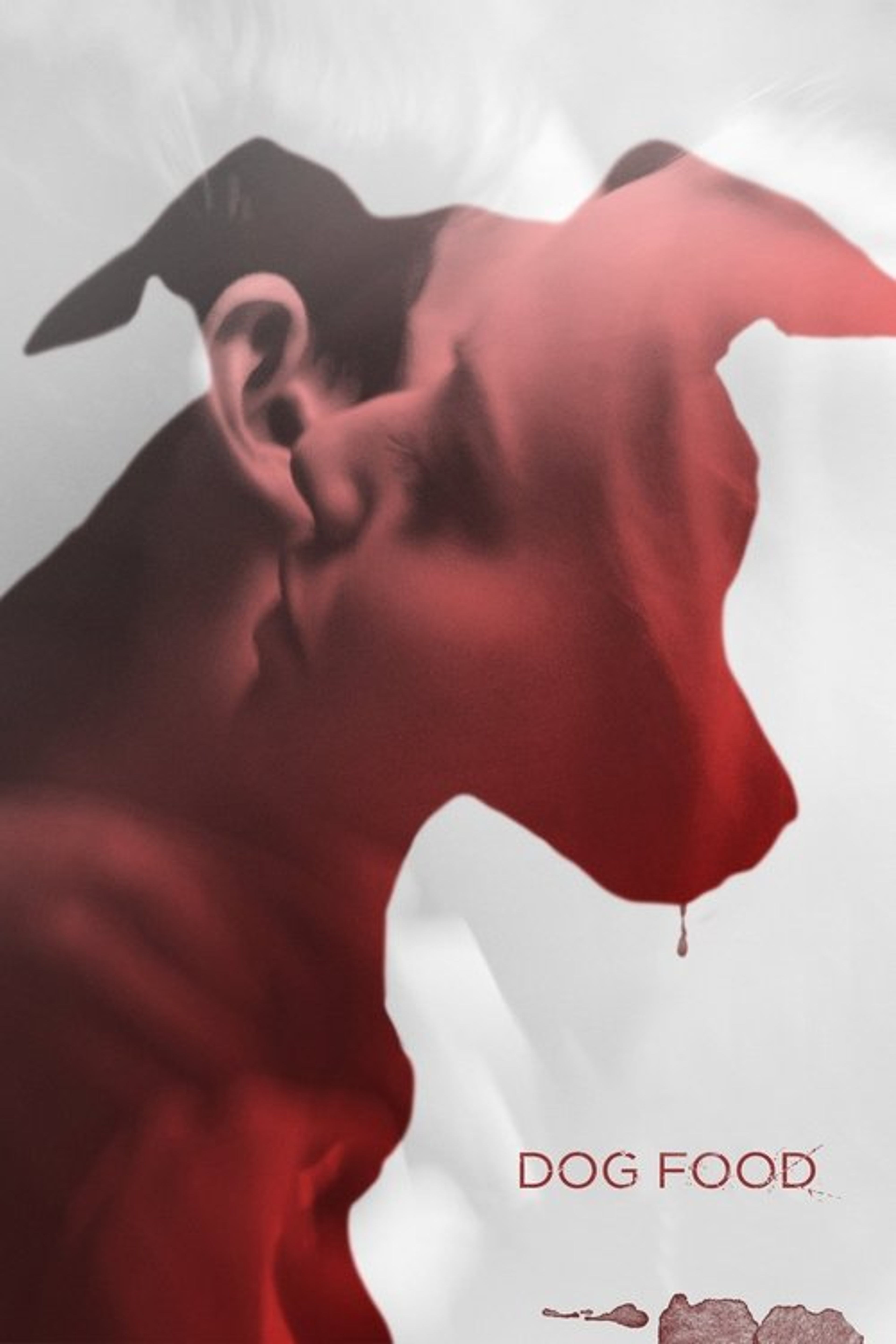 Poster image of Dog Food