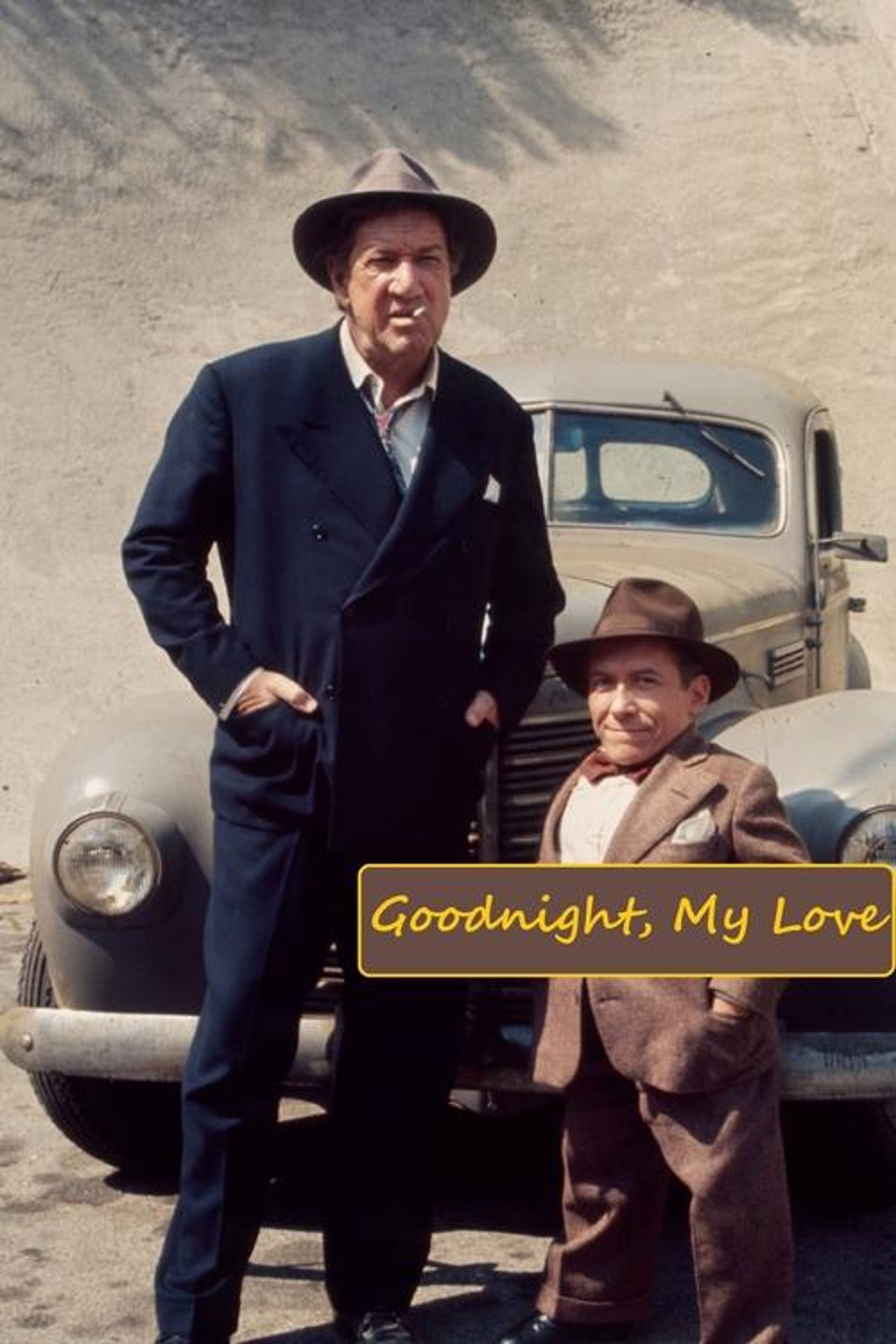 Poster image of Goodnight, My Love