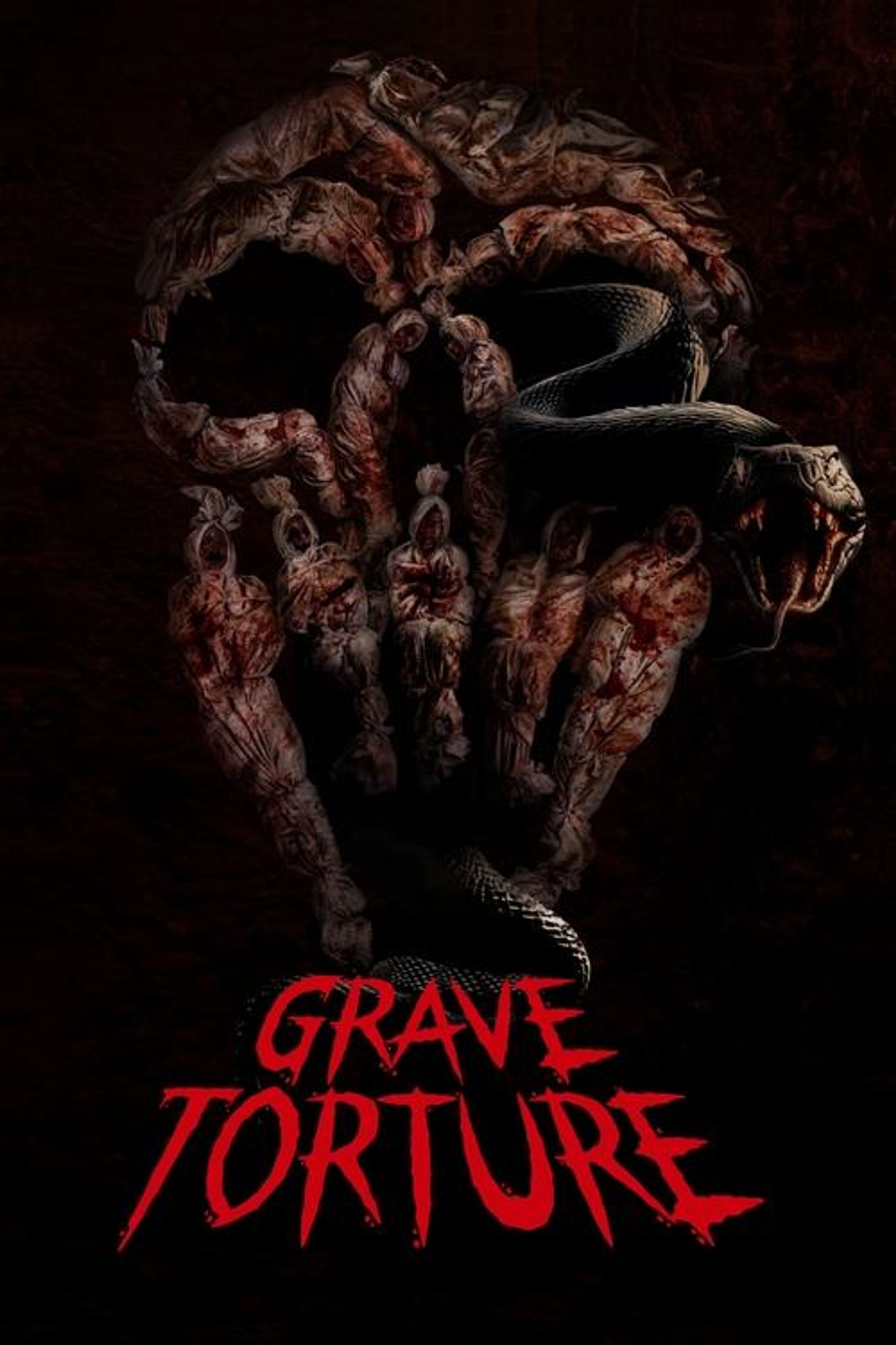 Poster image of Grave Torture