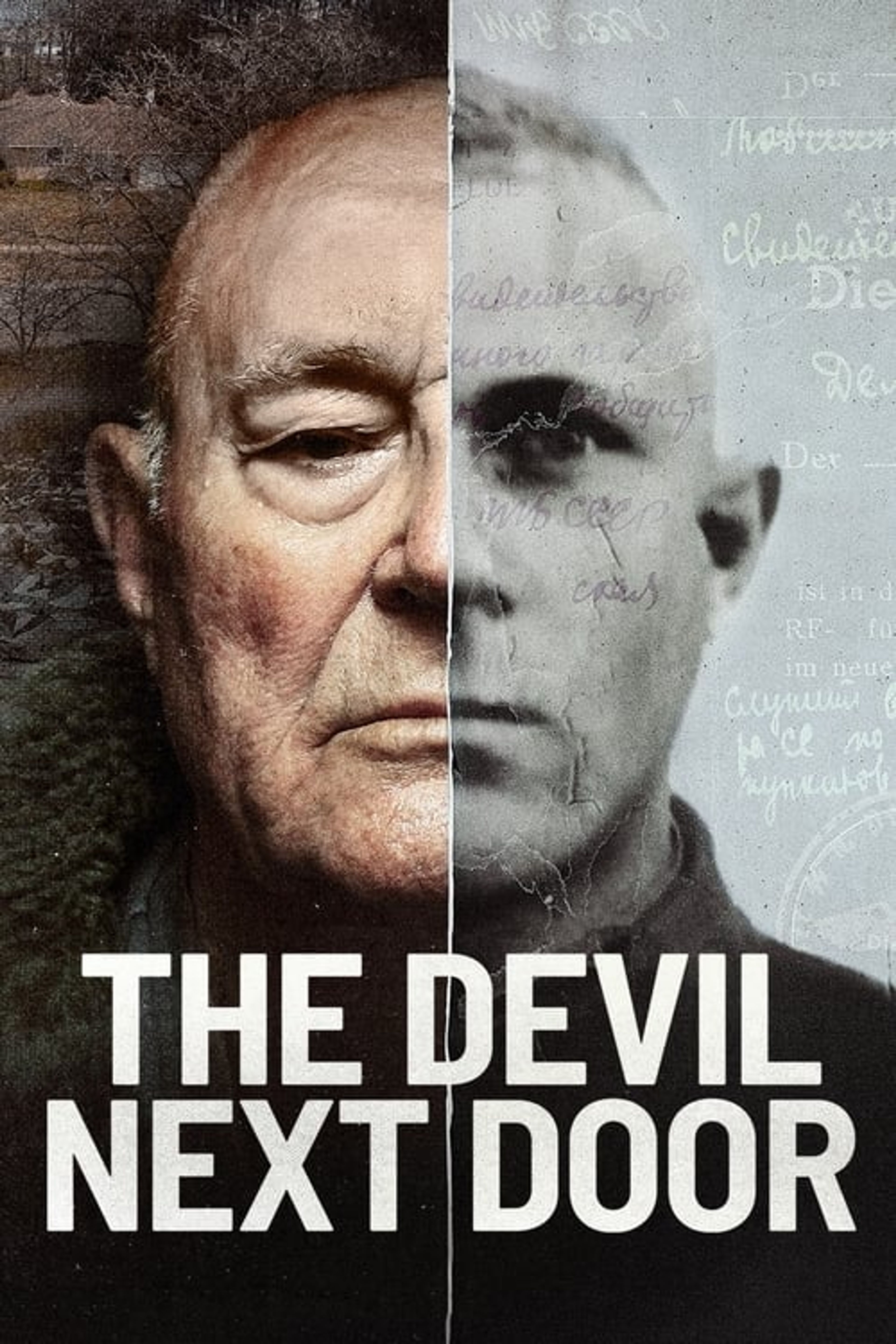 Poster image of The Devil Next Door