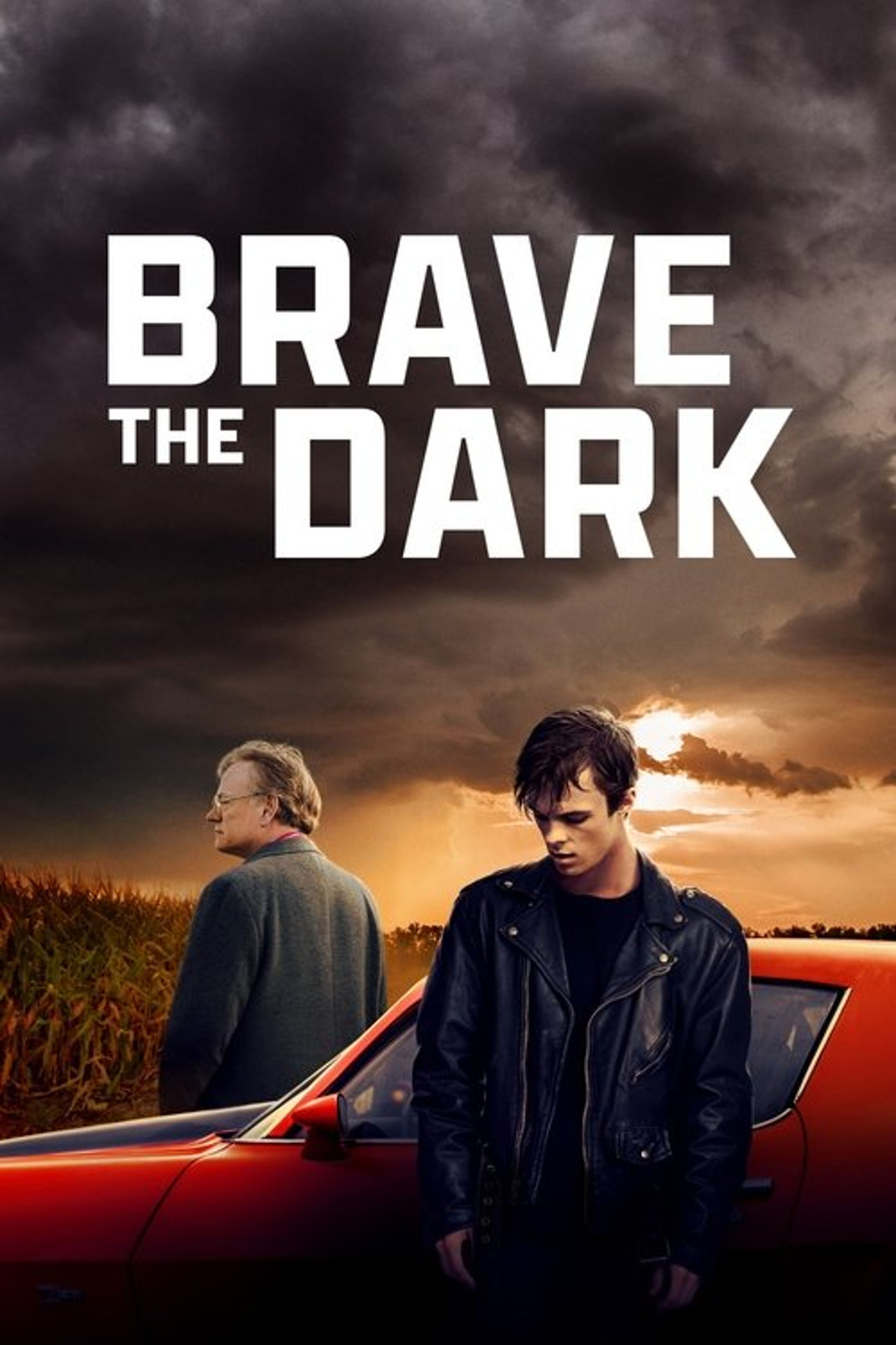 Poster image of Brave the Dark