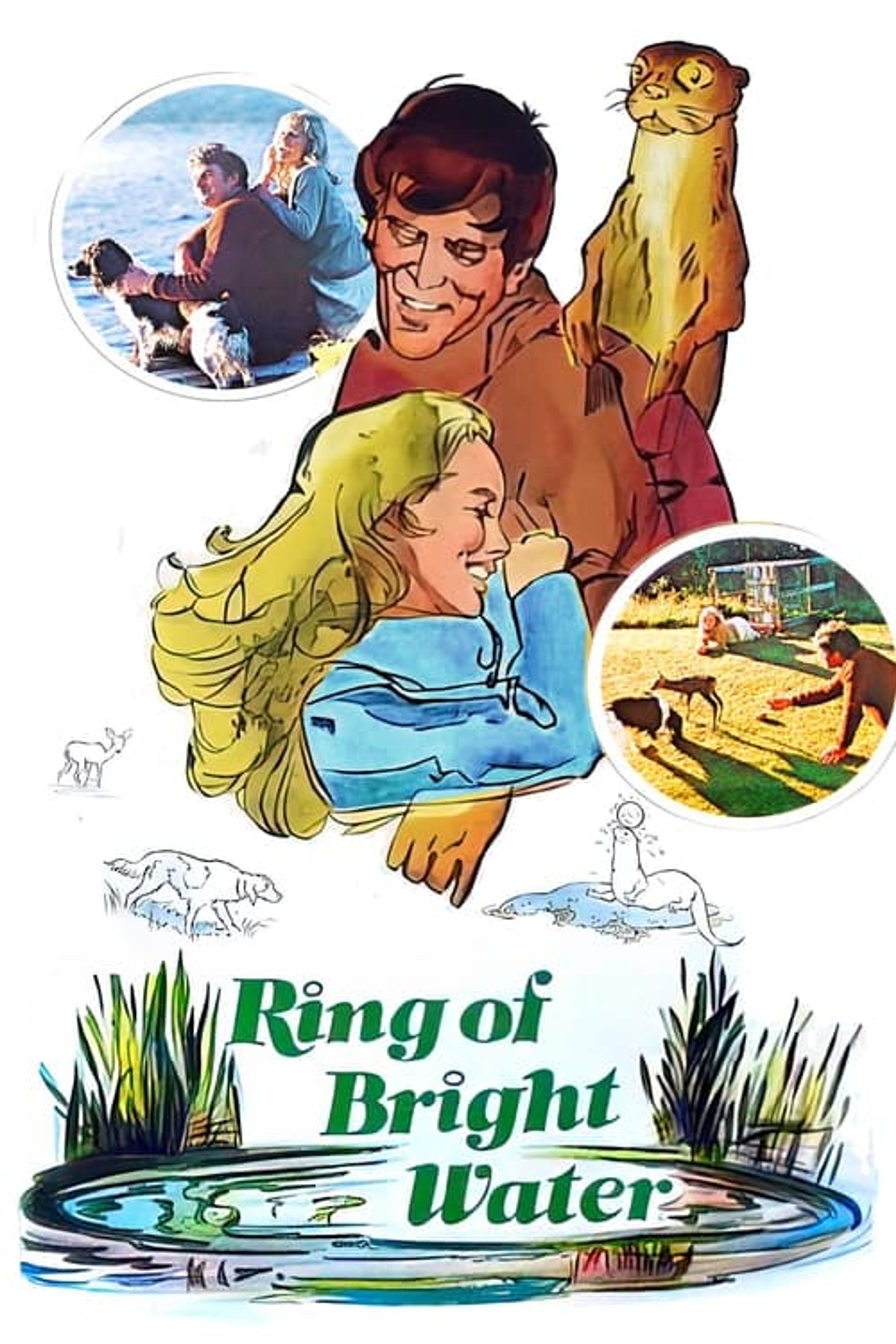 Poster image of Ring of Bright Water