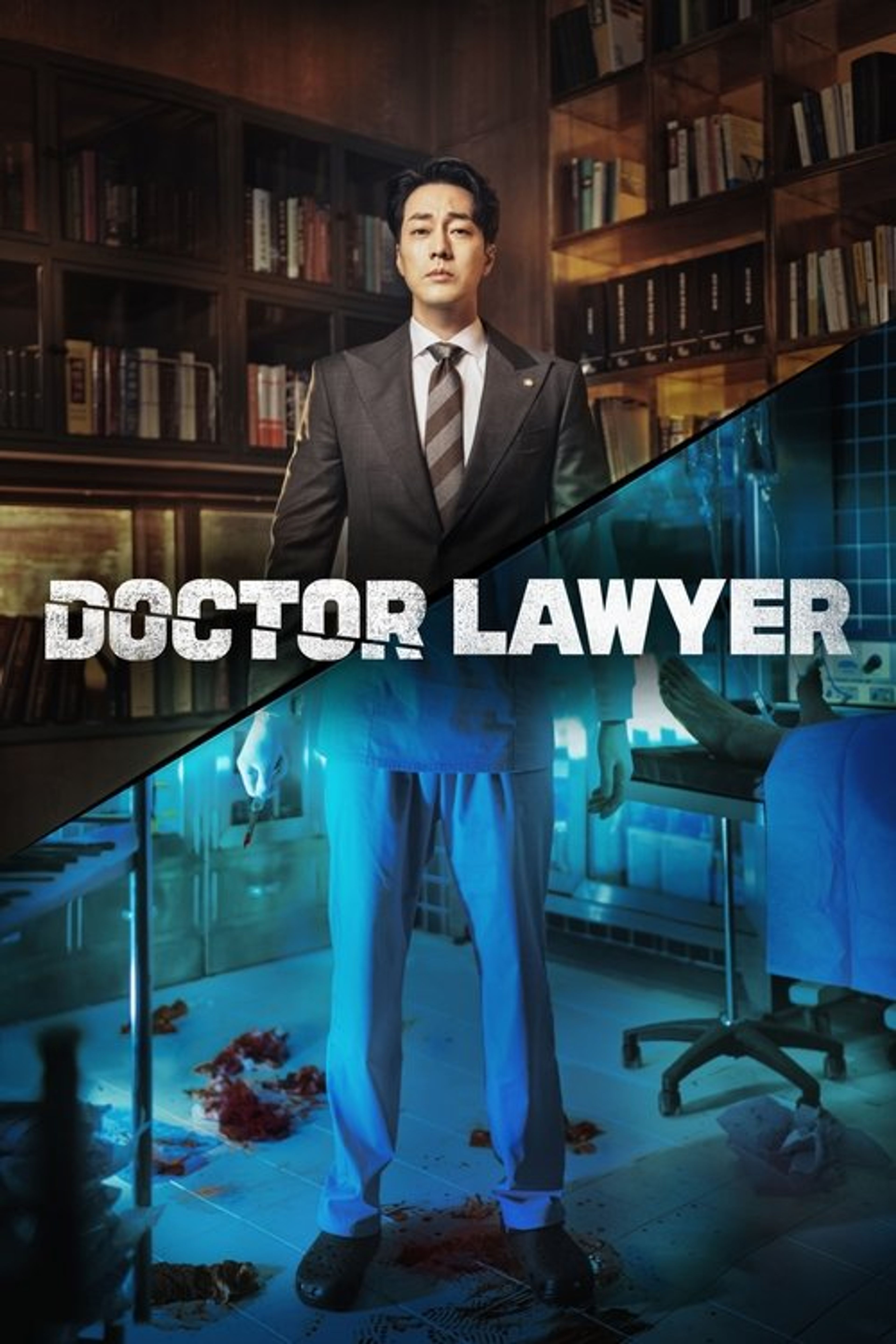 Poster image of Doctor Lawyer