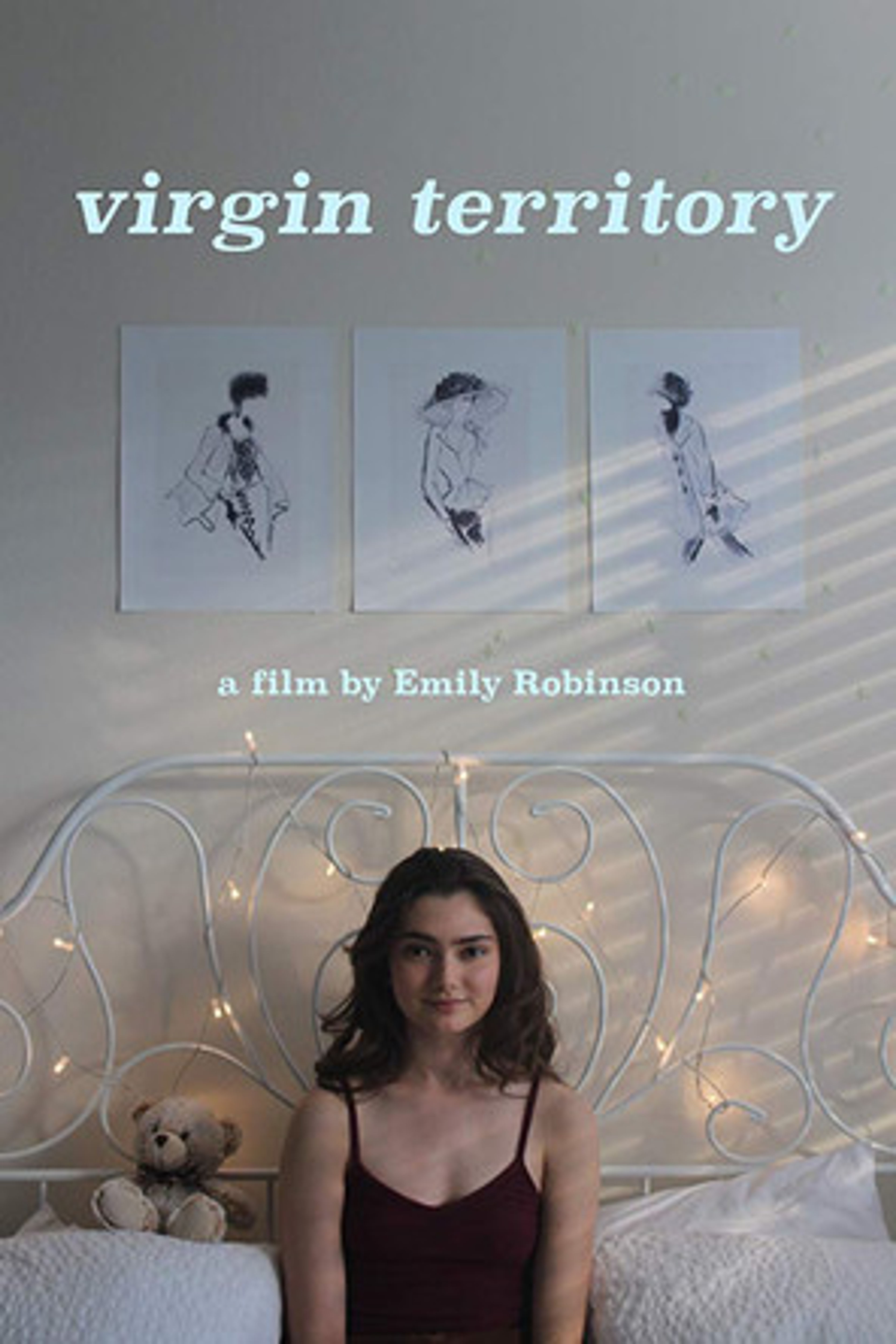Poster image of Virgin Territory