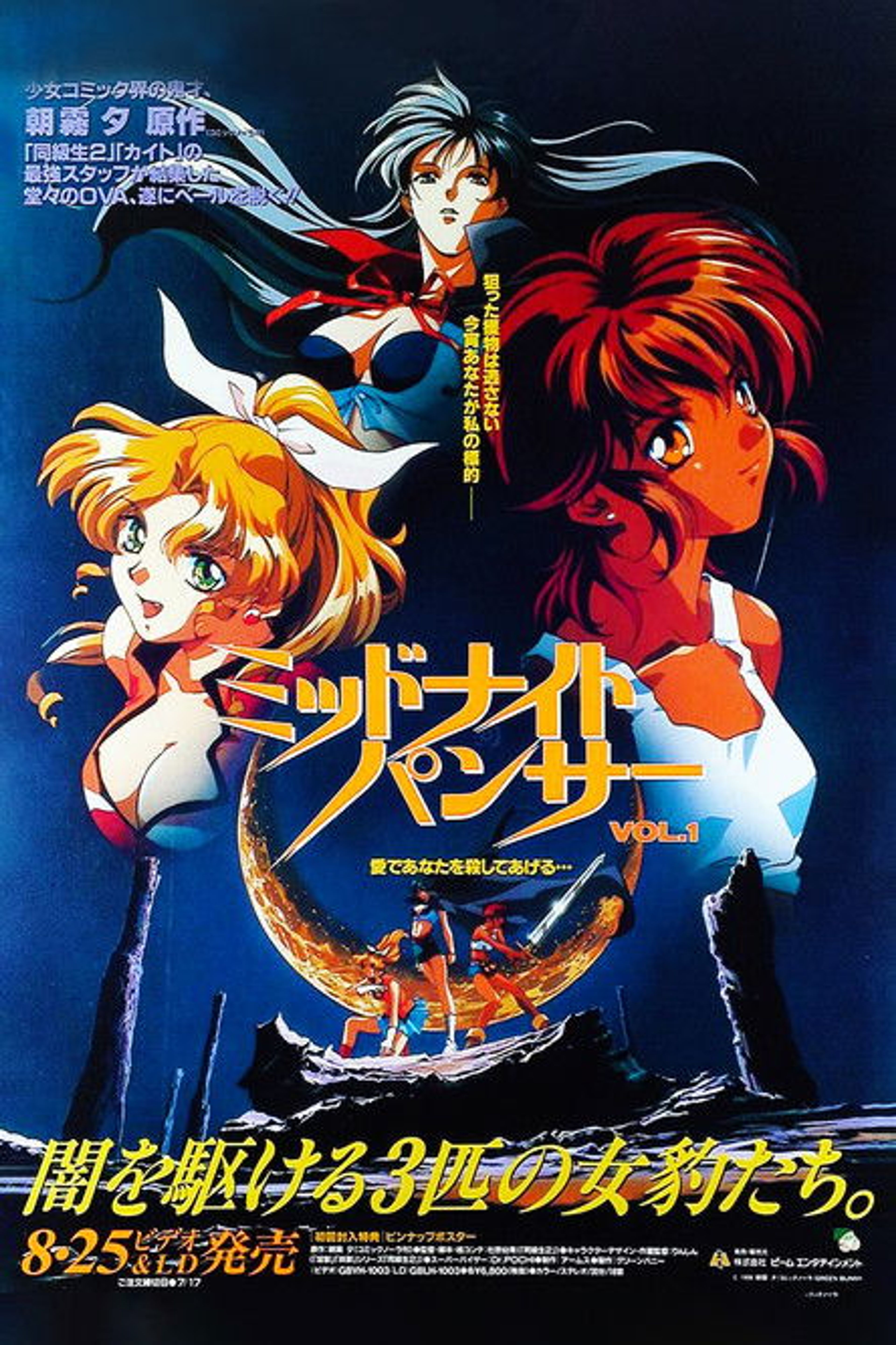 Poster image of Midnight Panther